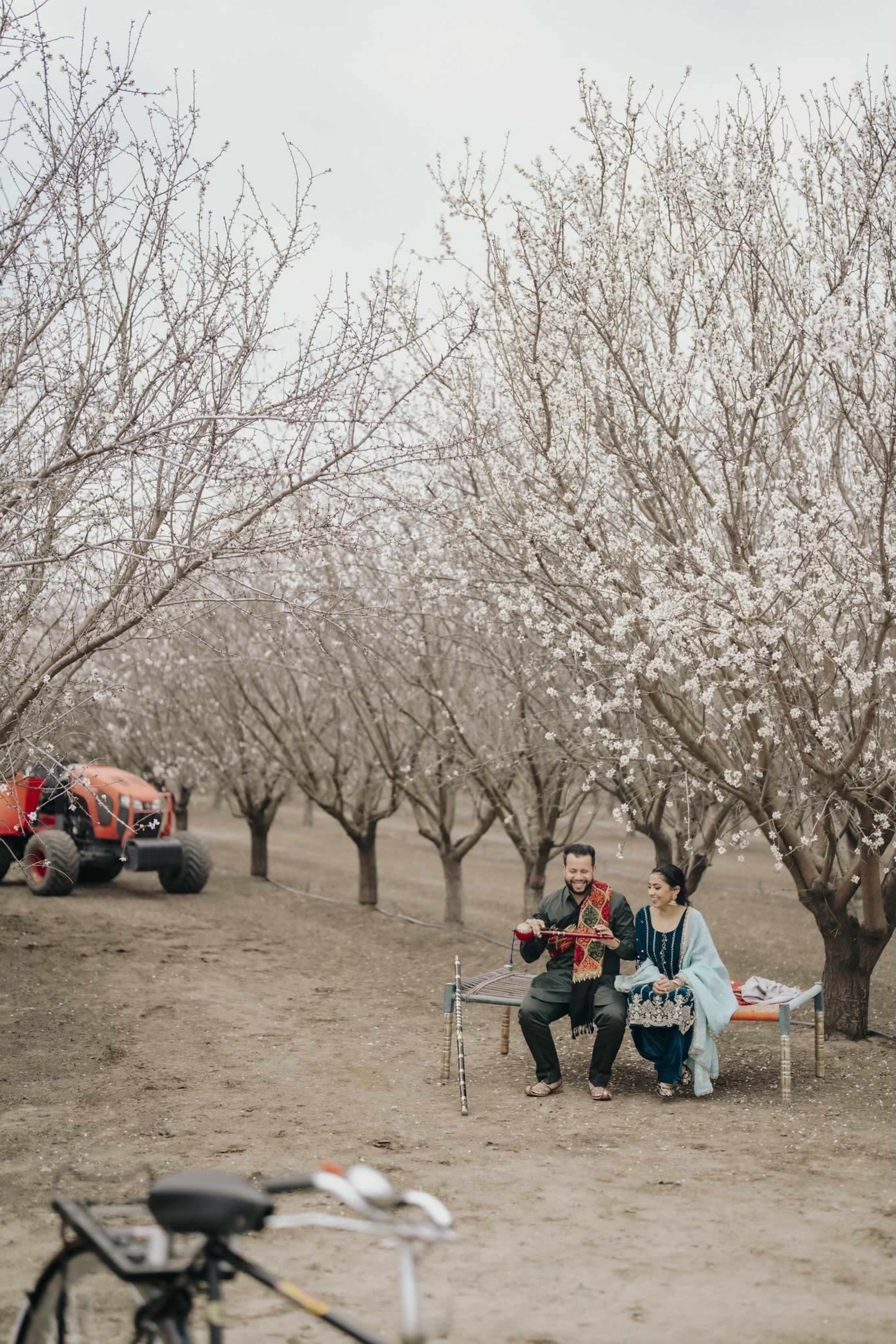 A couple sits on a bench under flowering trees in an orchard while a tractor is visible in the background.
