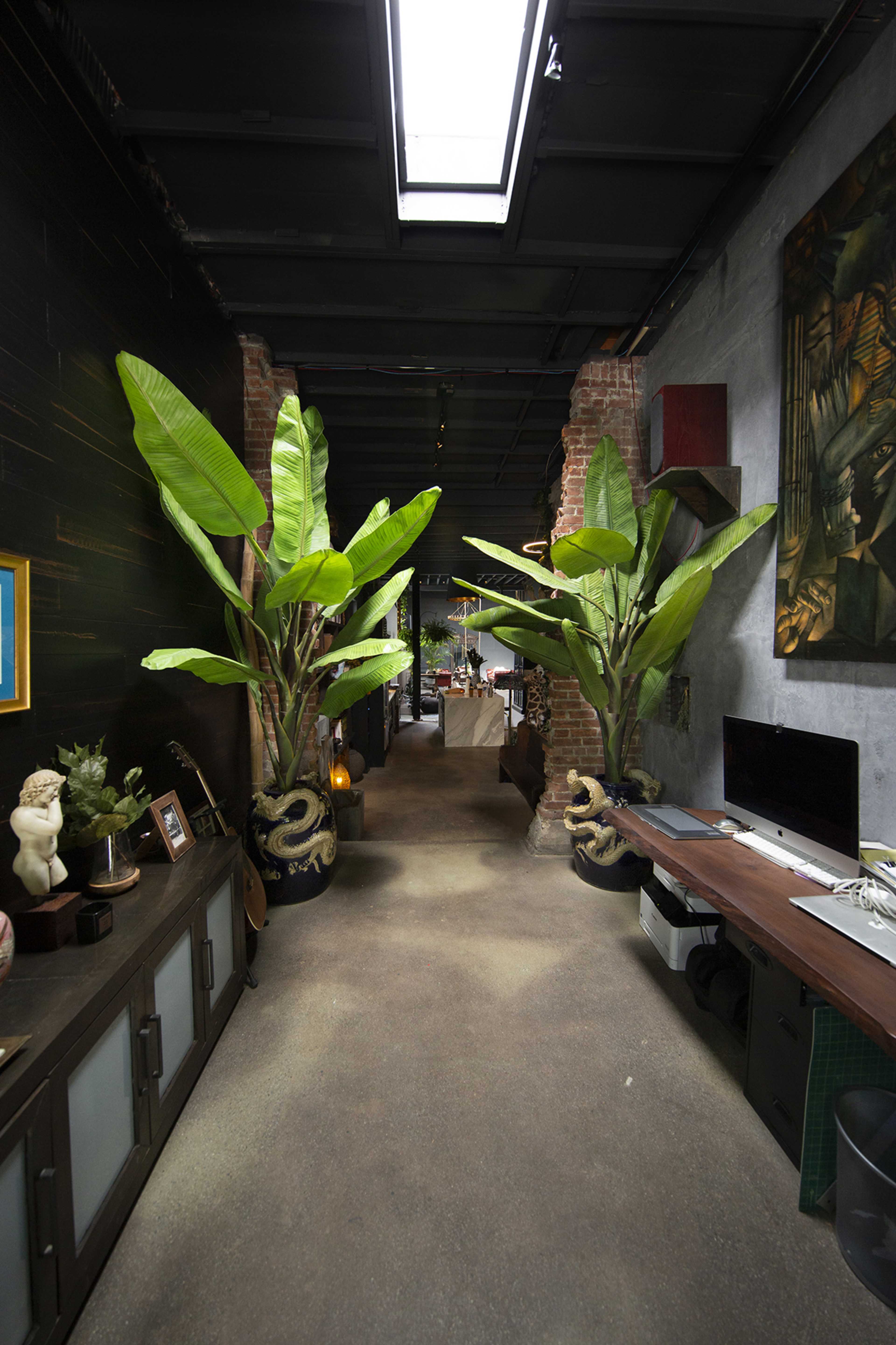 The image shows a narrow hallway in an office space lined with large potted plants, leading to another area that features decorative art and workstations on either side.