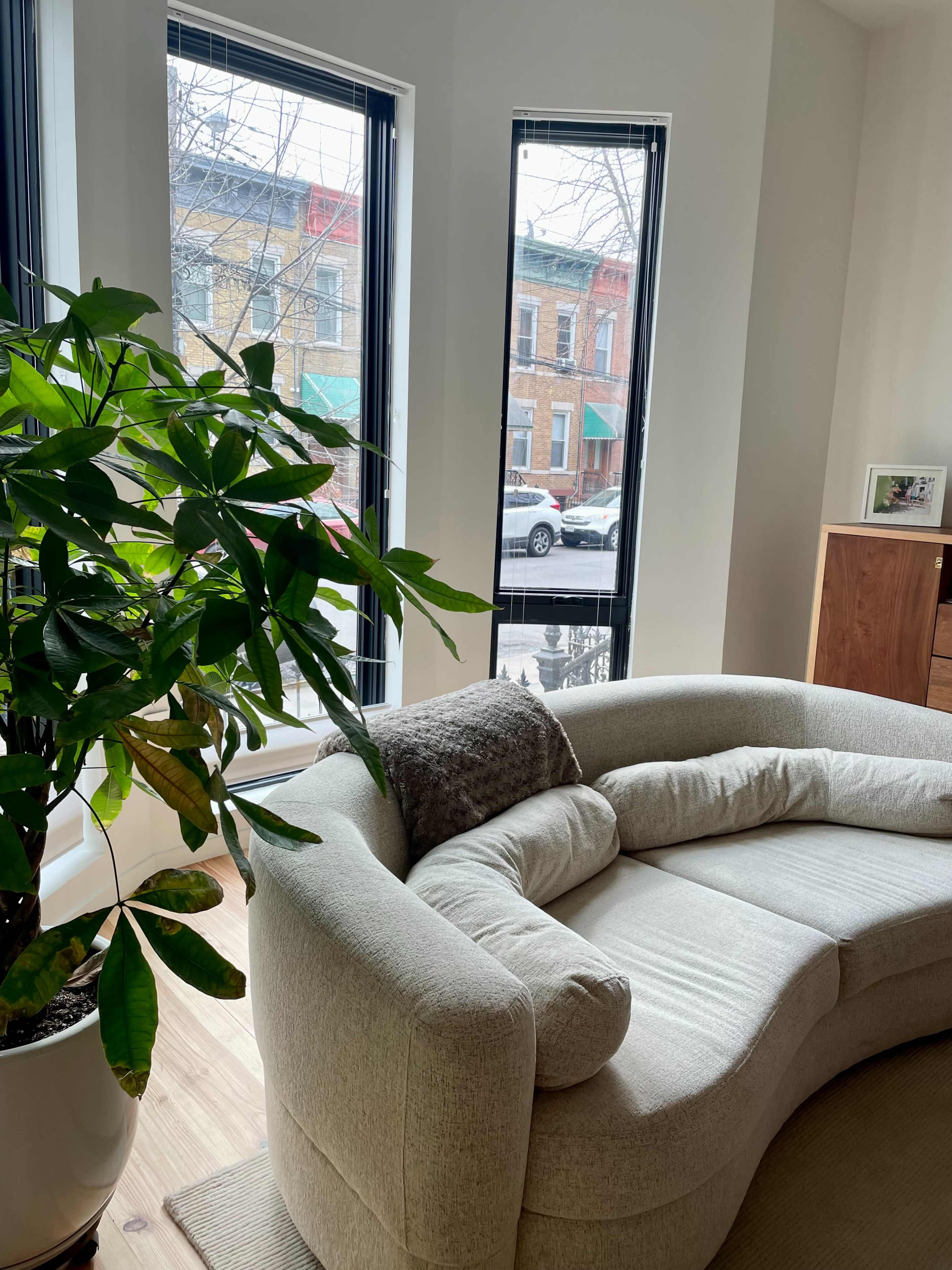A curved sofa is positioned in front of large windows displaying a street with colorful buildings outside.