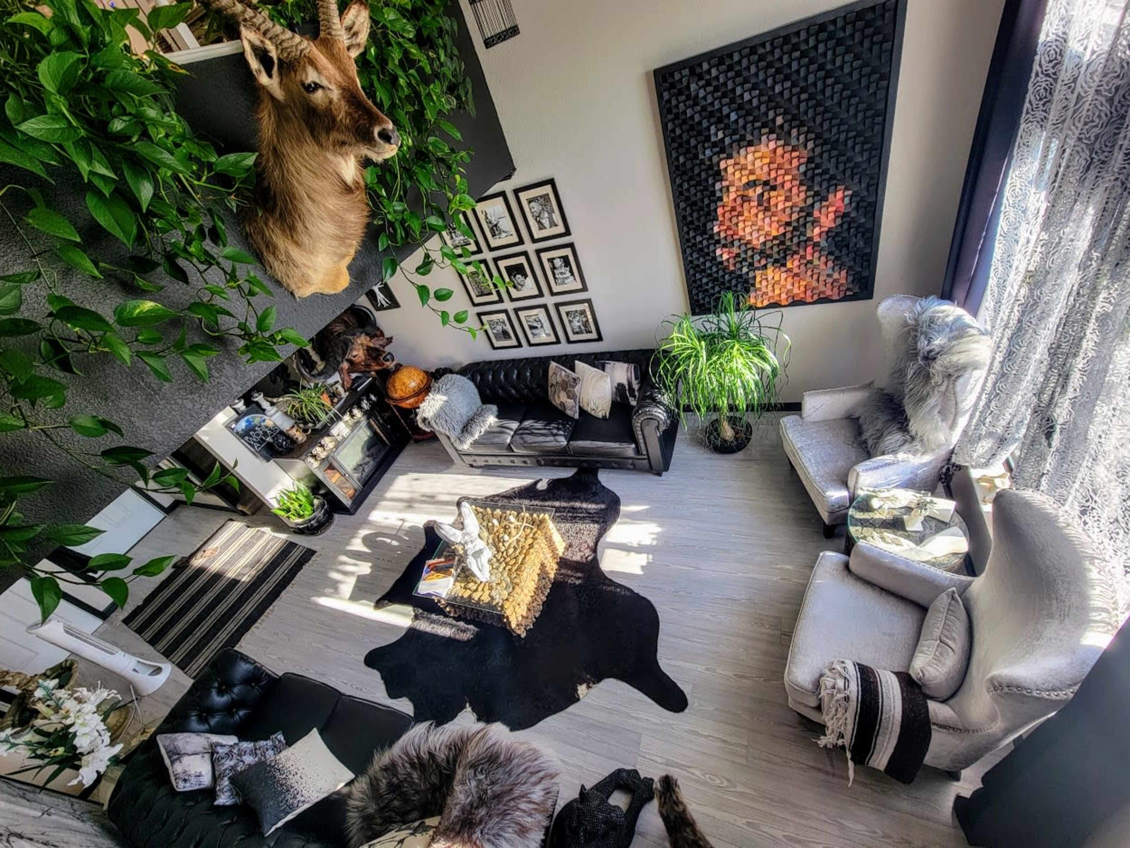 A stylish, modern living room with a combination of black leather and white upholstered furniture, a large wall-mounted deer head, framed pictures, and a prominent artwork.