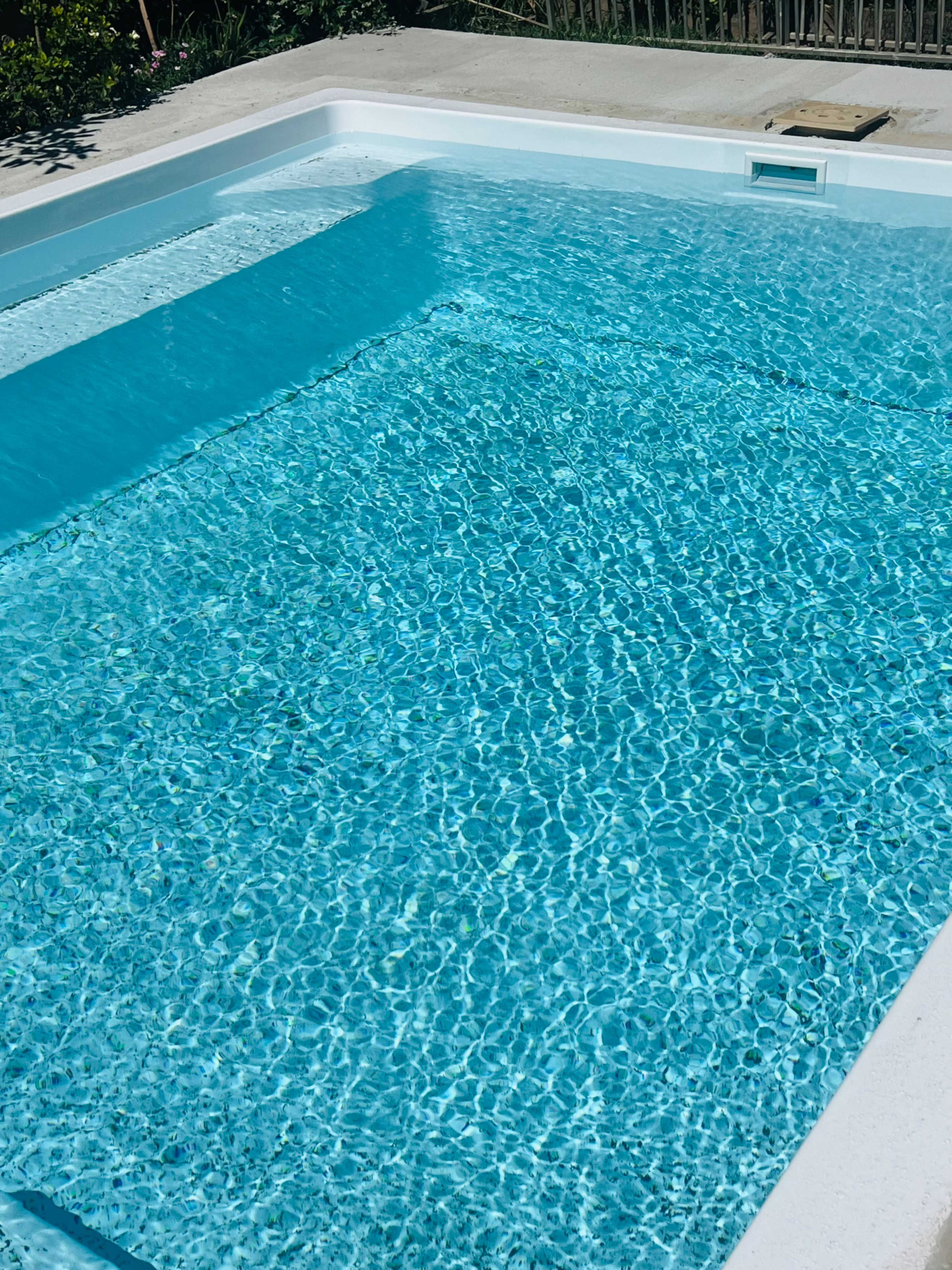 A clear, blue swimming pool is surrounded by greenery and a wooden fence.