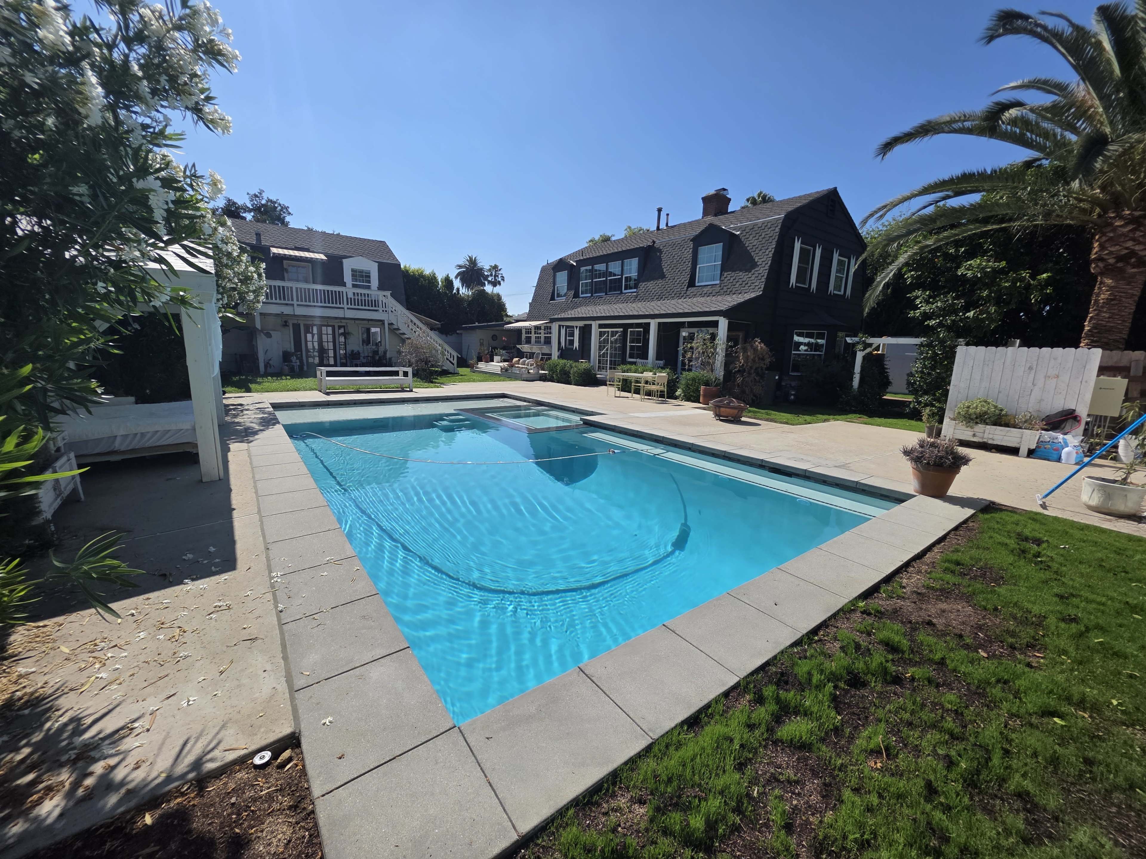 The image shows a clear blue swimming pool surrounded by a landscaped backyard with palm trees and two houses in the background.