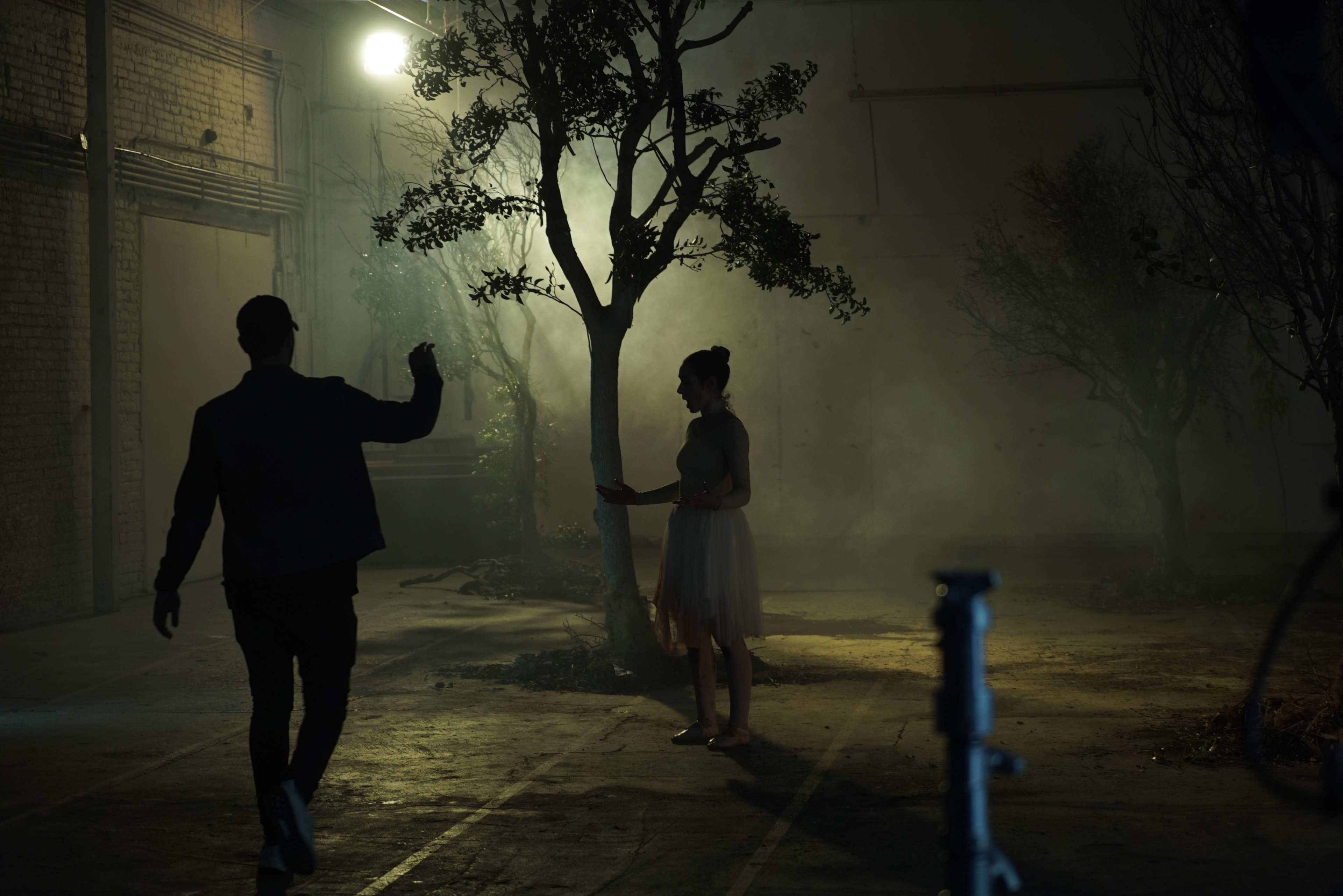 A man is silhouetted against a misty backdrop while a woman in a dress stands next to a tree in a dimly lit space.