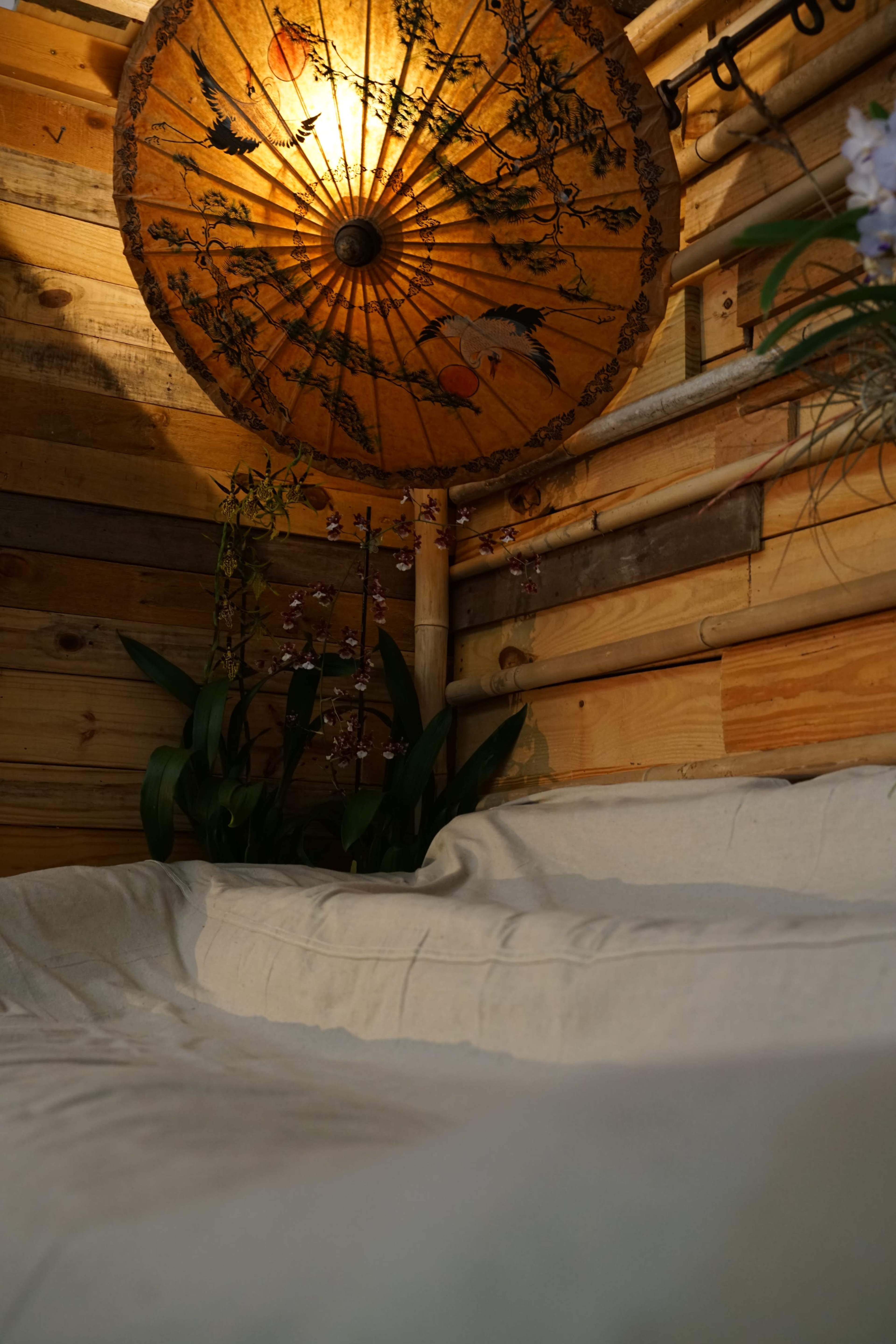 A decorative paper umbrella hangs above a white couch surrounded by wooden walls and potted orchids.