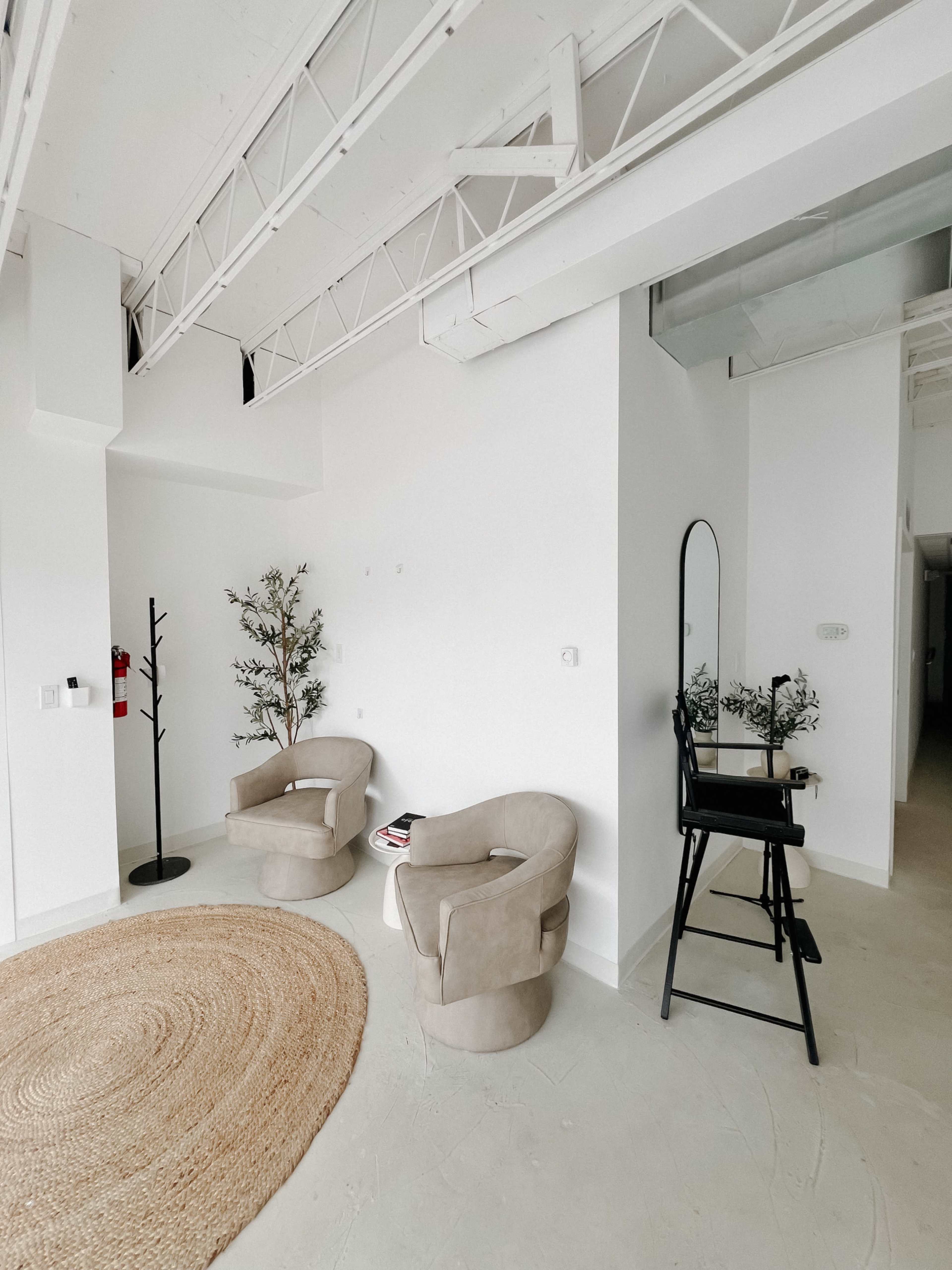 The image shows a bright, minimalist room with two plush chairs, a round rug, a standing mirror, and a tall plant alongside a small table.