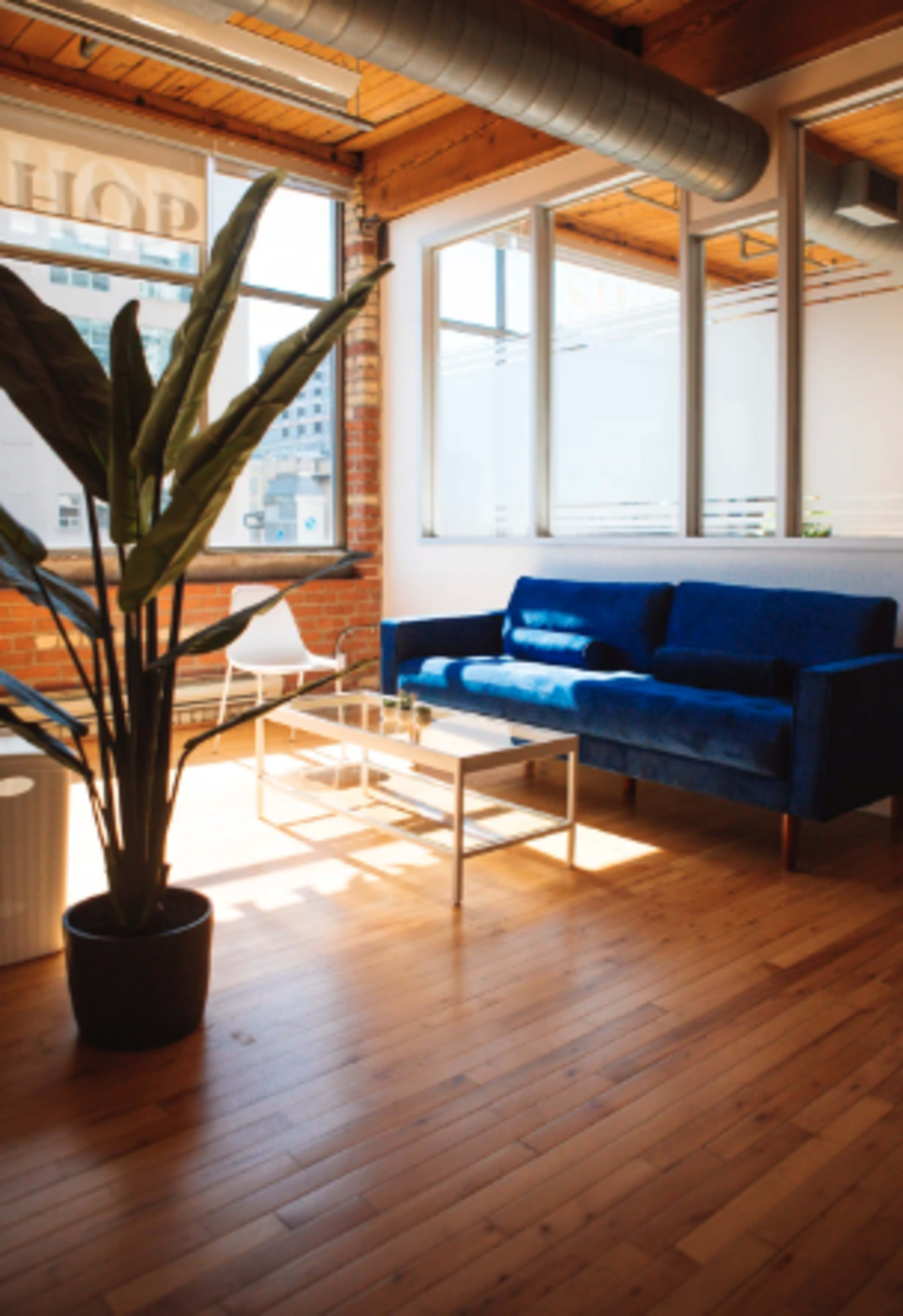 A bright interior space featuring a blue couch, a coffee table, a large plant, and large windows with wooden beams.
