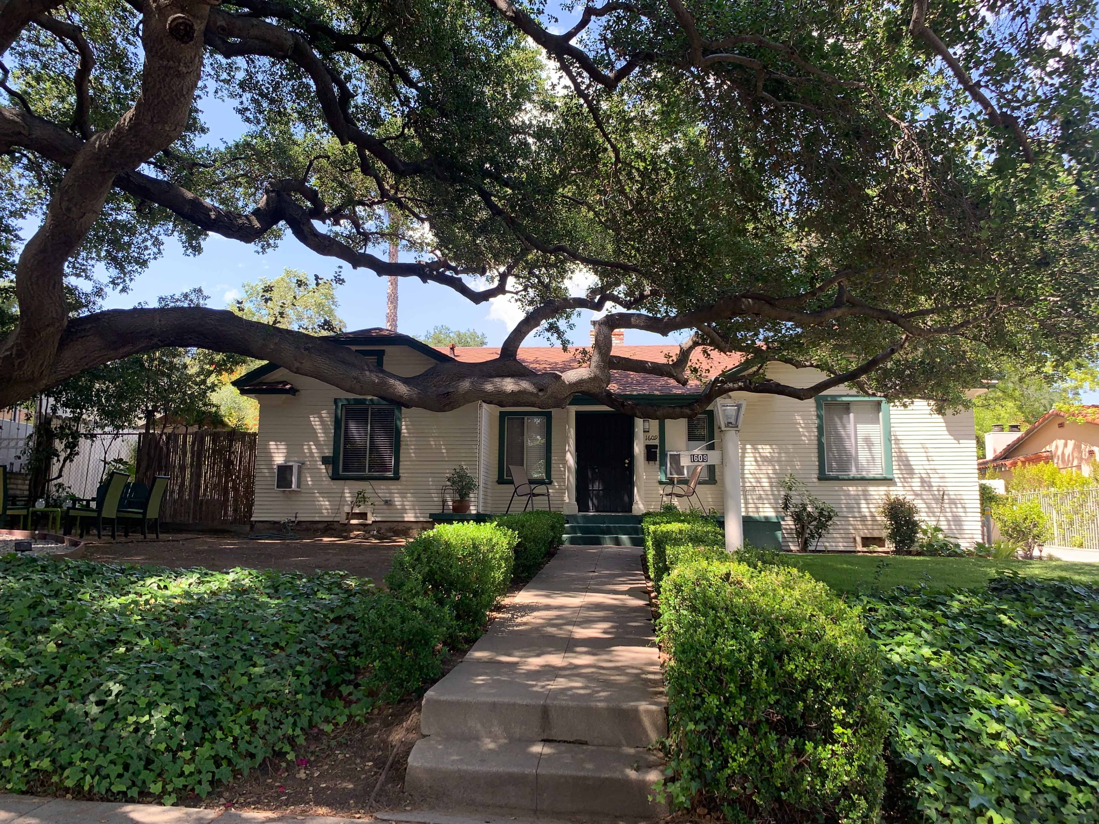 A single-story house with a large tree extending over the front, surrounded by green shrubs and a concrete pathway.