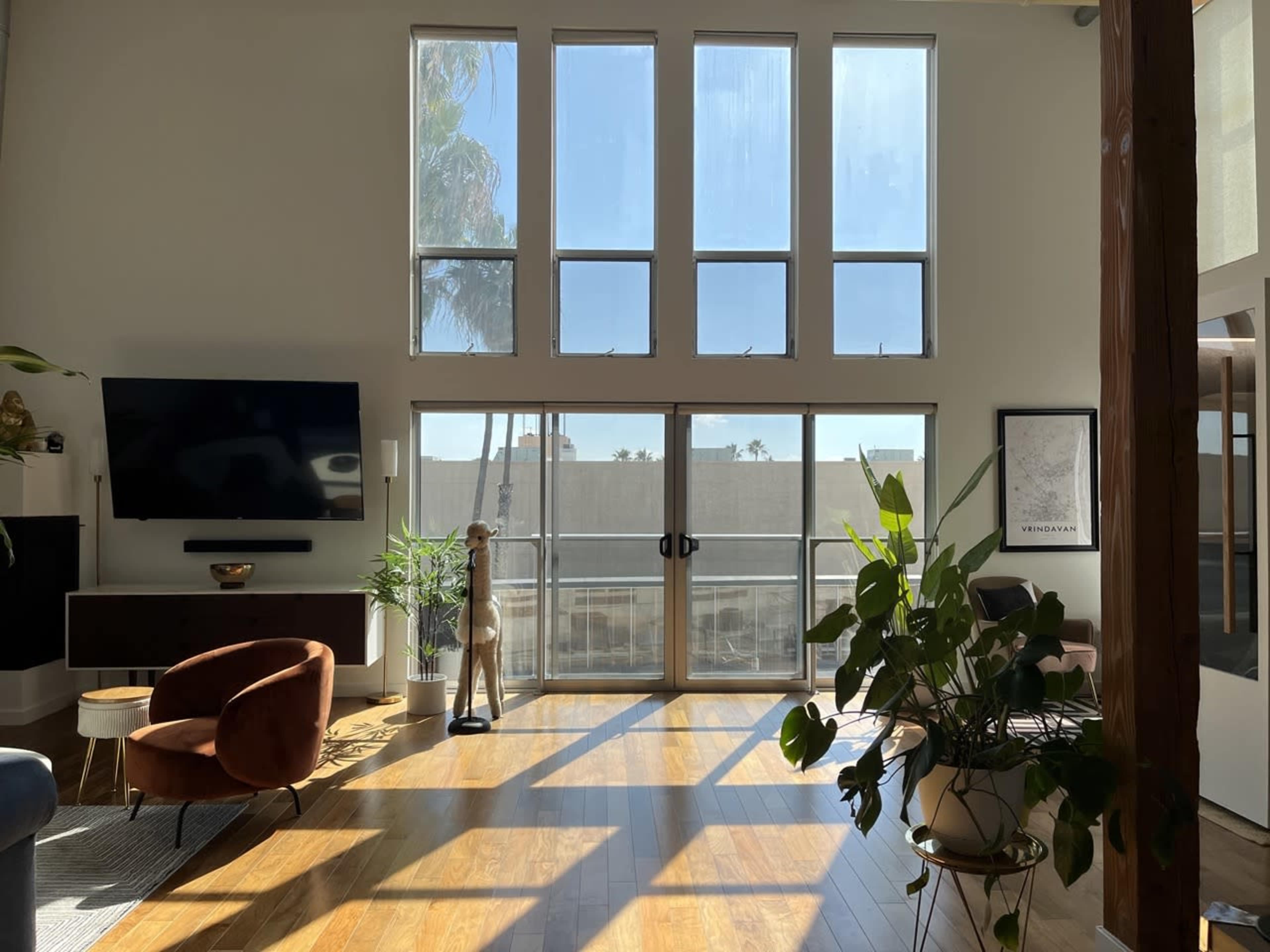 A bright living room with large windows allowing sunlight to illuminate the space, featuring a brown armchair and various indoor plants.