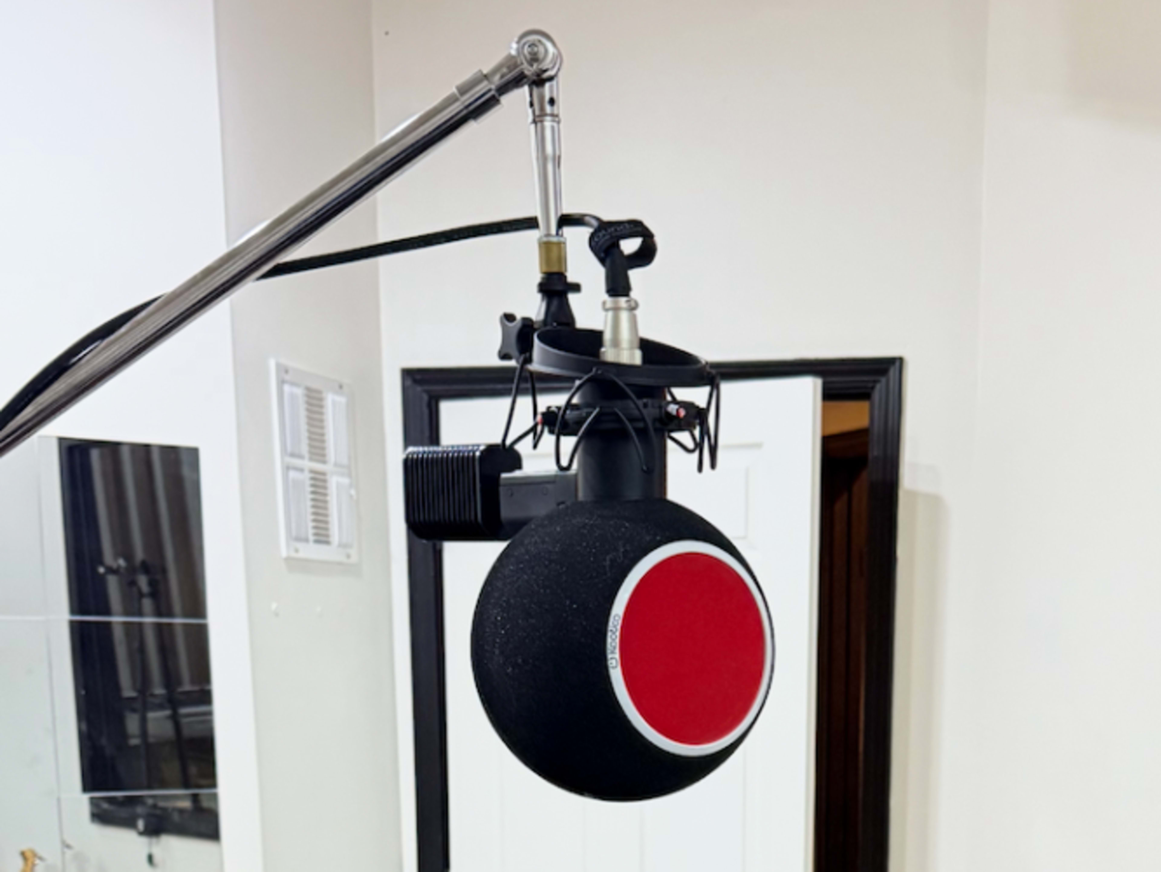 Sony Microphone