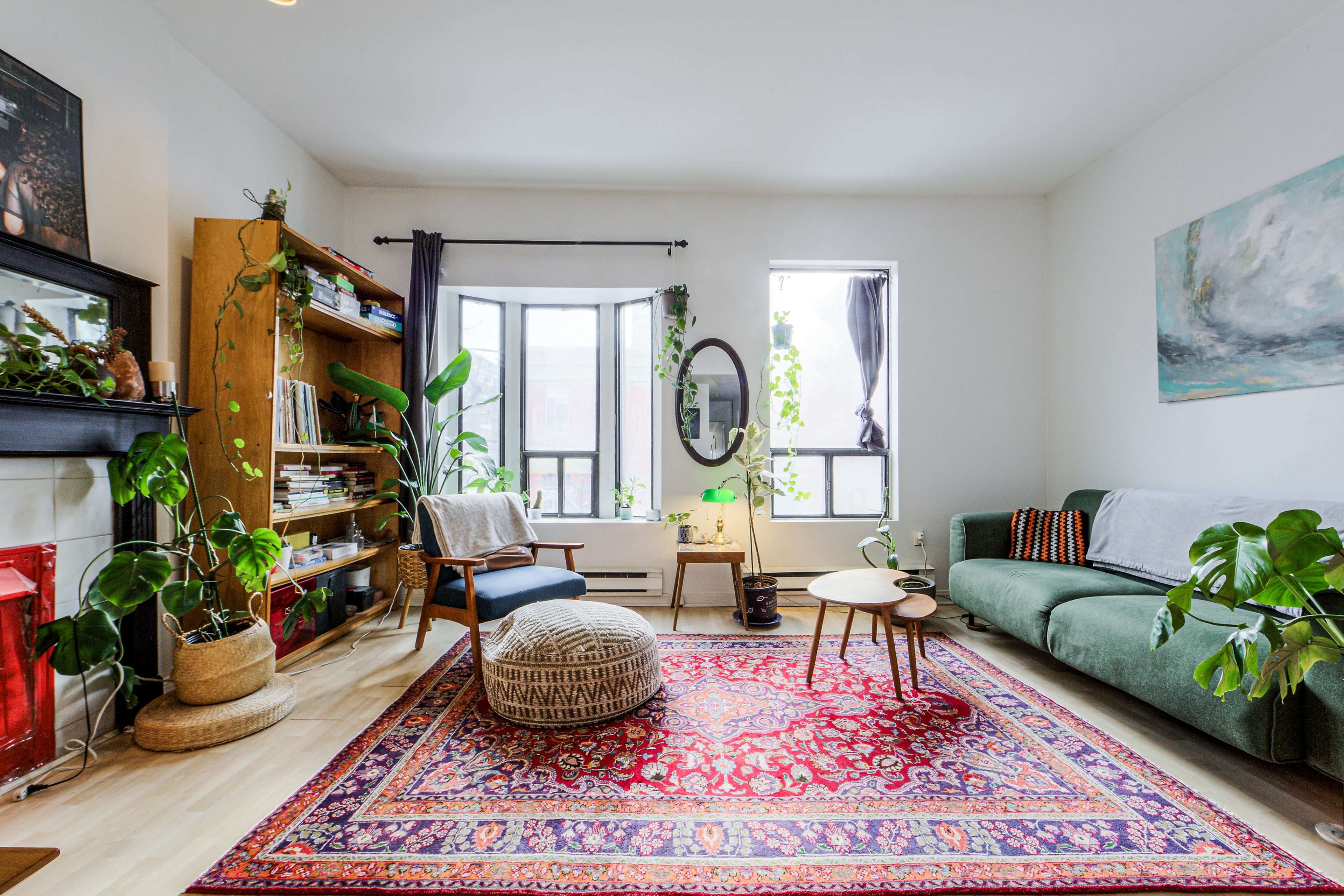 The image shows a bright living room with a green sofa, a wooden bookshelf filled with books, and several indoor plants, all arranged around a colorful area rug.