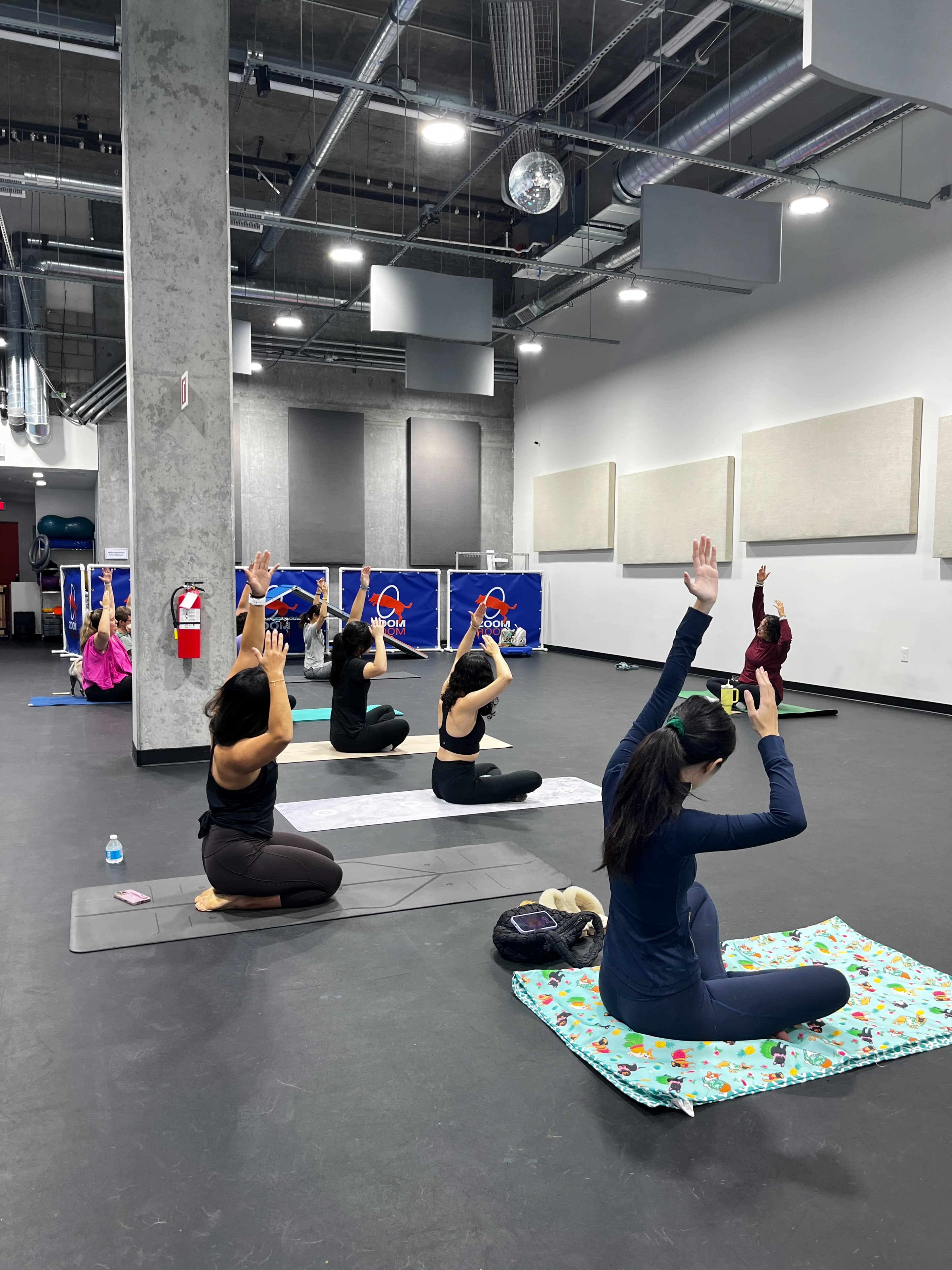 Large open ceiling dog training gym with rubber flooring Image in Santa Clara, Santa Clara, CA