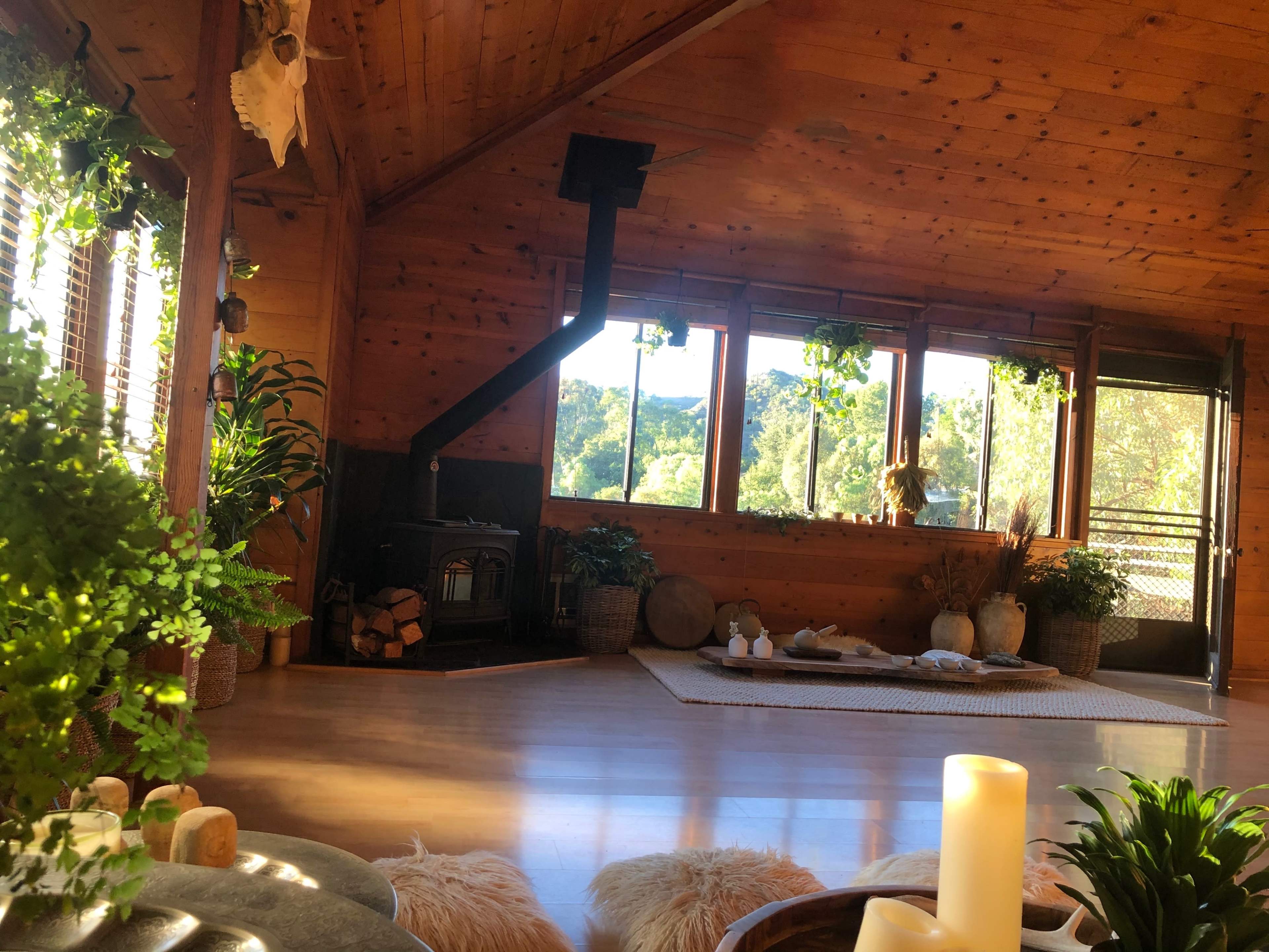 The interior of a wooden cabin features large windows, a stone fireplace, and a cozy arrangement of plants and cushions on the floor.