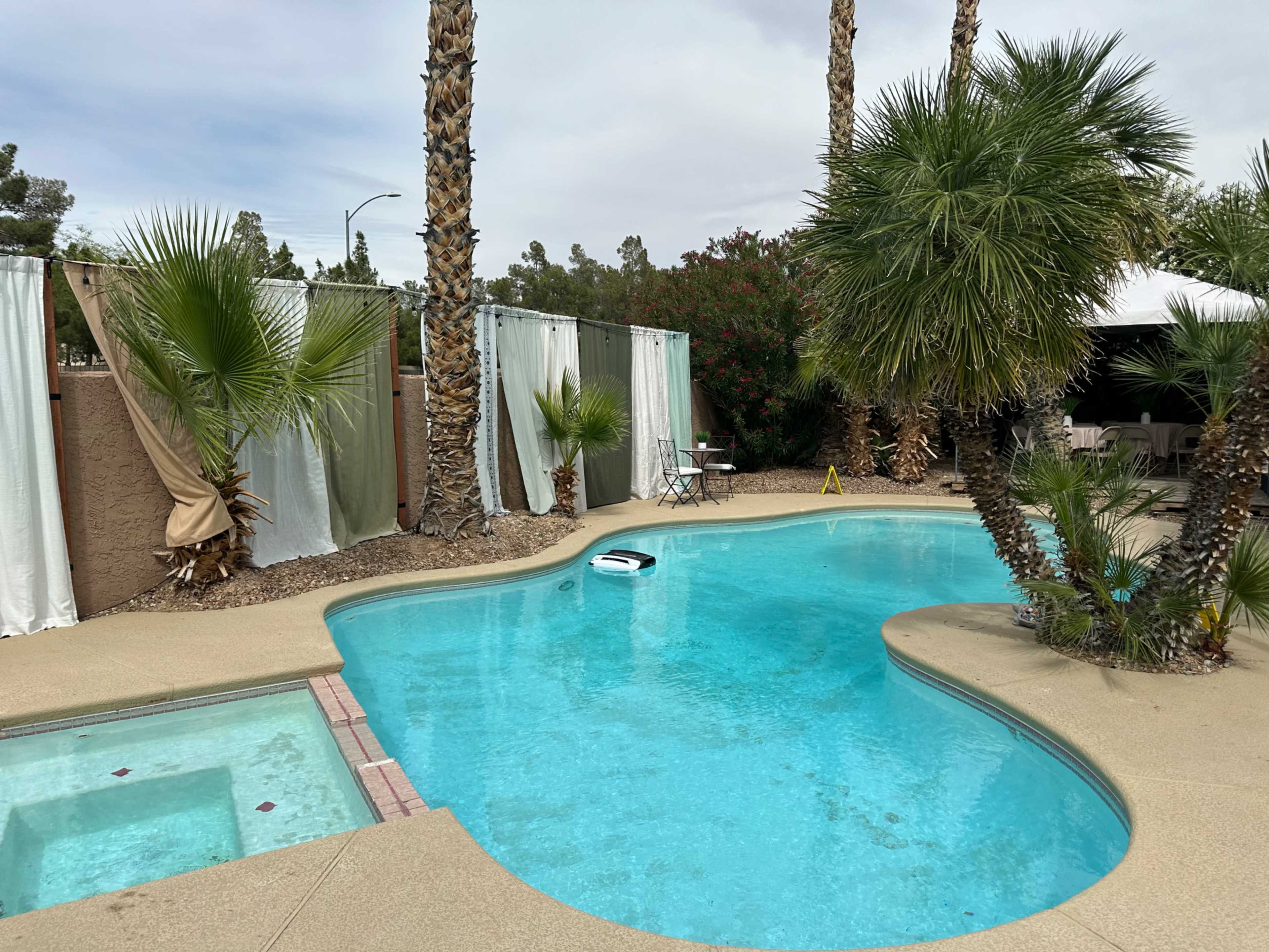 The image shows a swimming pool surrounded by palm trees, with a small boat floating on the water and curtains draped nearby.