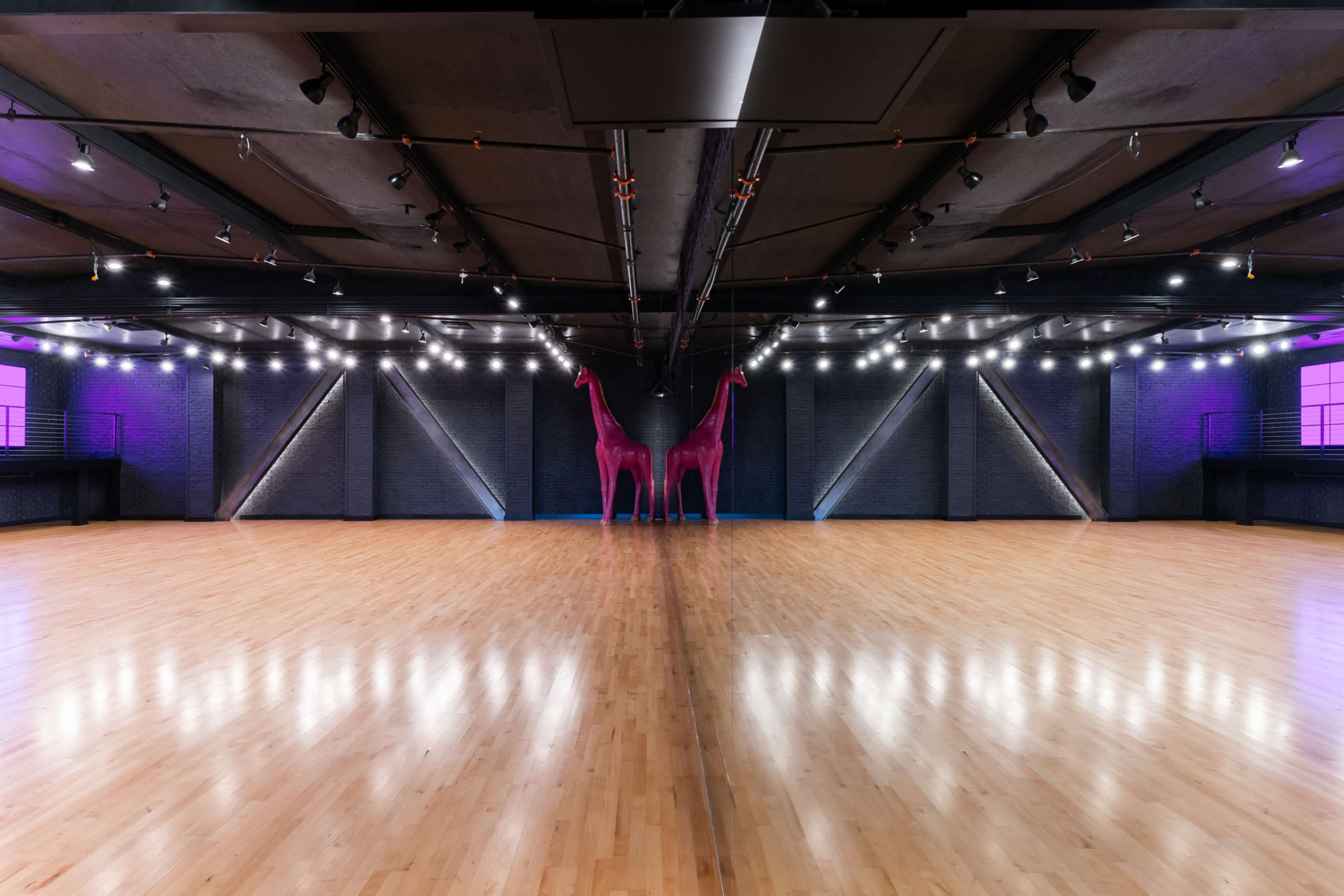A spacious dance hall with polished wooden floors, two tall pink giraffe sculptures positioned centrally, and string lights illuminating the dark walls.