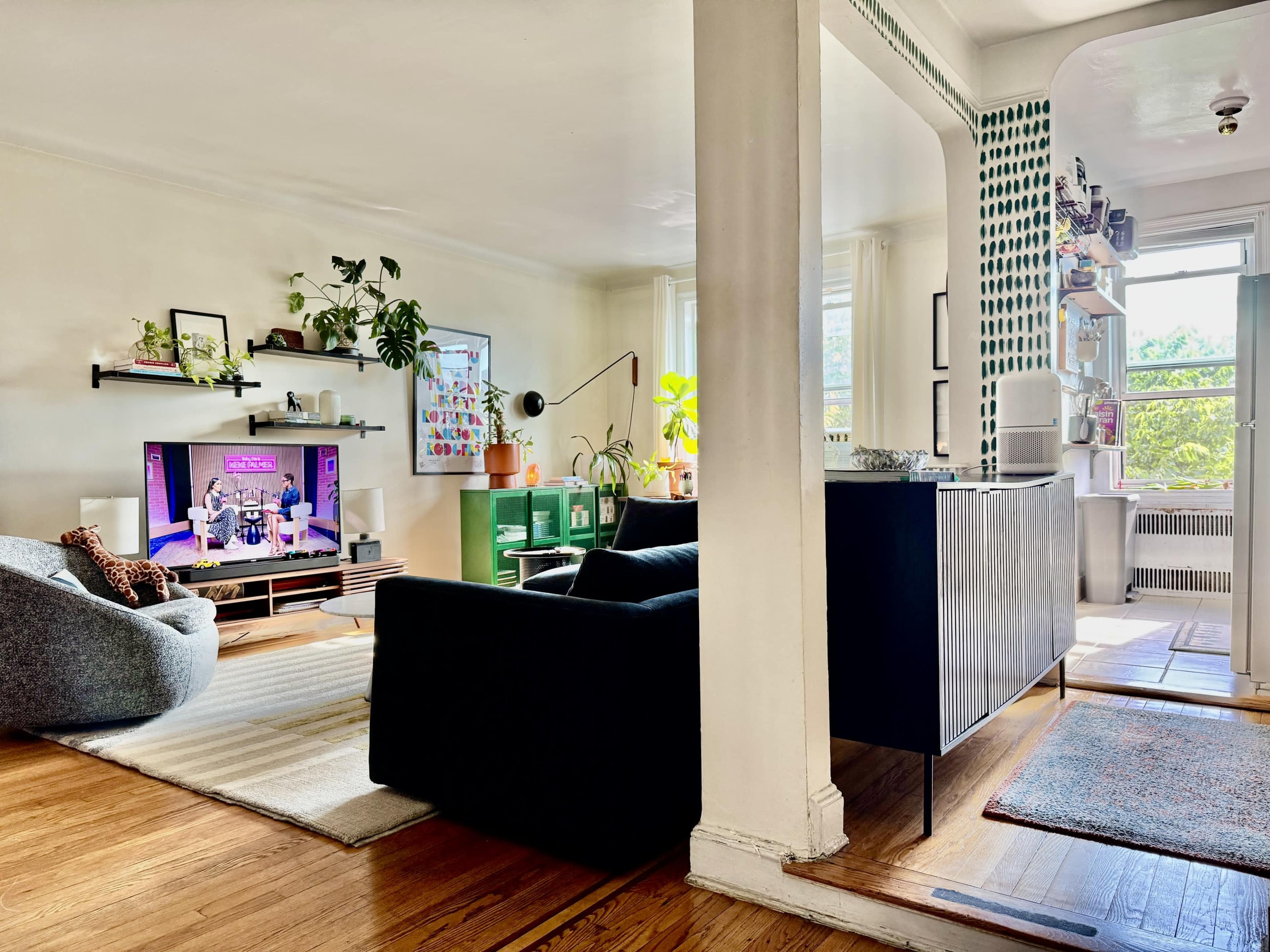 The image shows a bright living room with a dark sofa, a gray armchair, a television displaying a show, and a green cabinet beside a sunny window with plants.