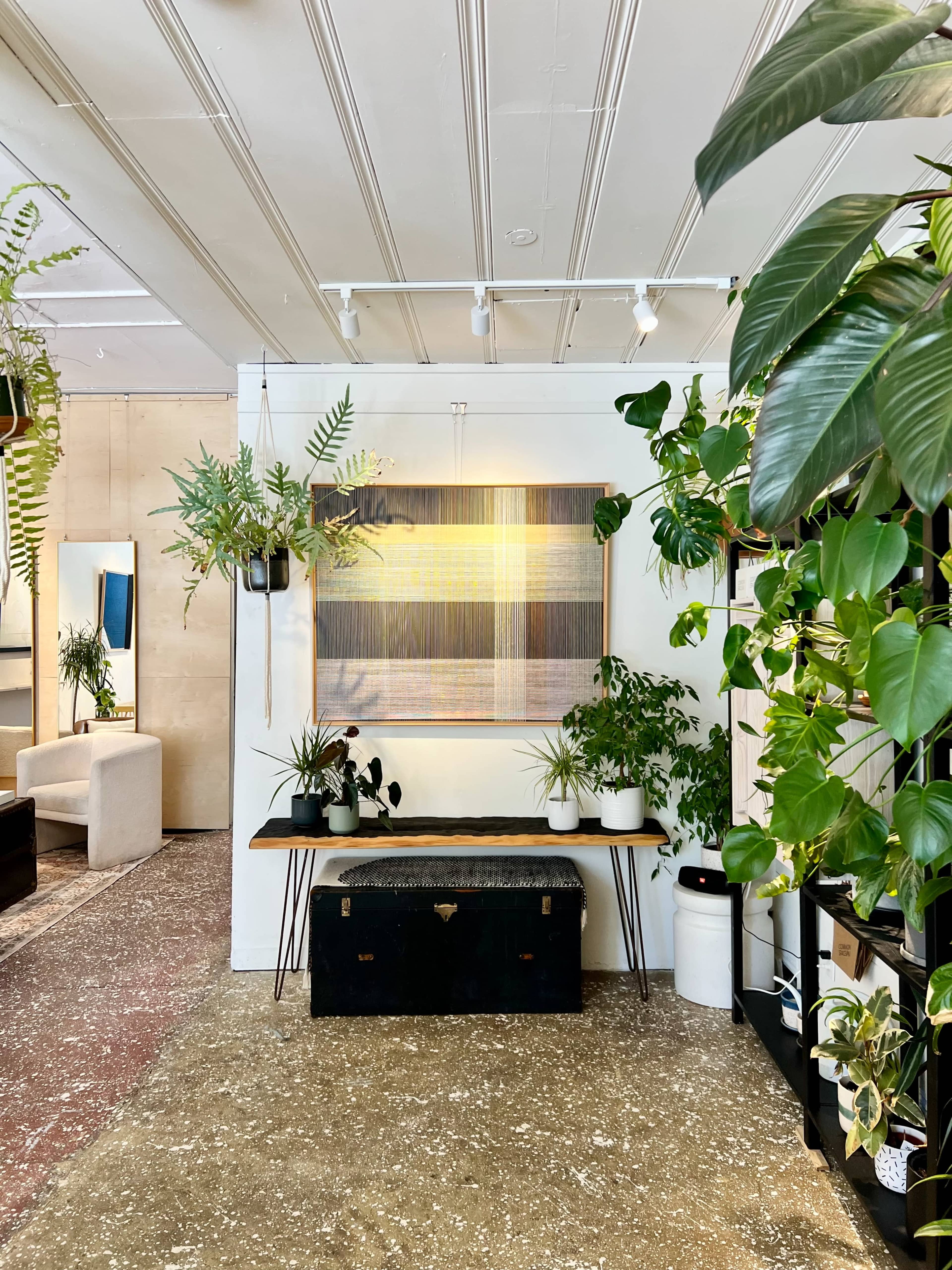 The image shows a bright interior space with various green plants, a large piece of abstract art on the wall, a wooden bench, and shelves holding additional plants.