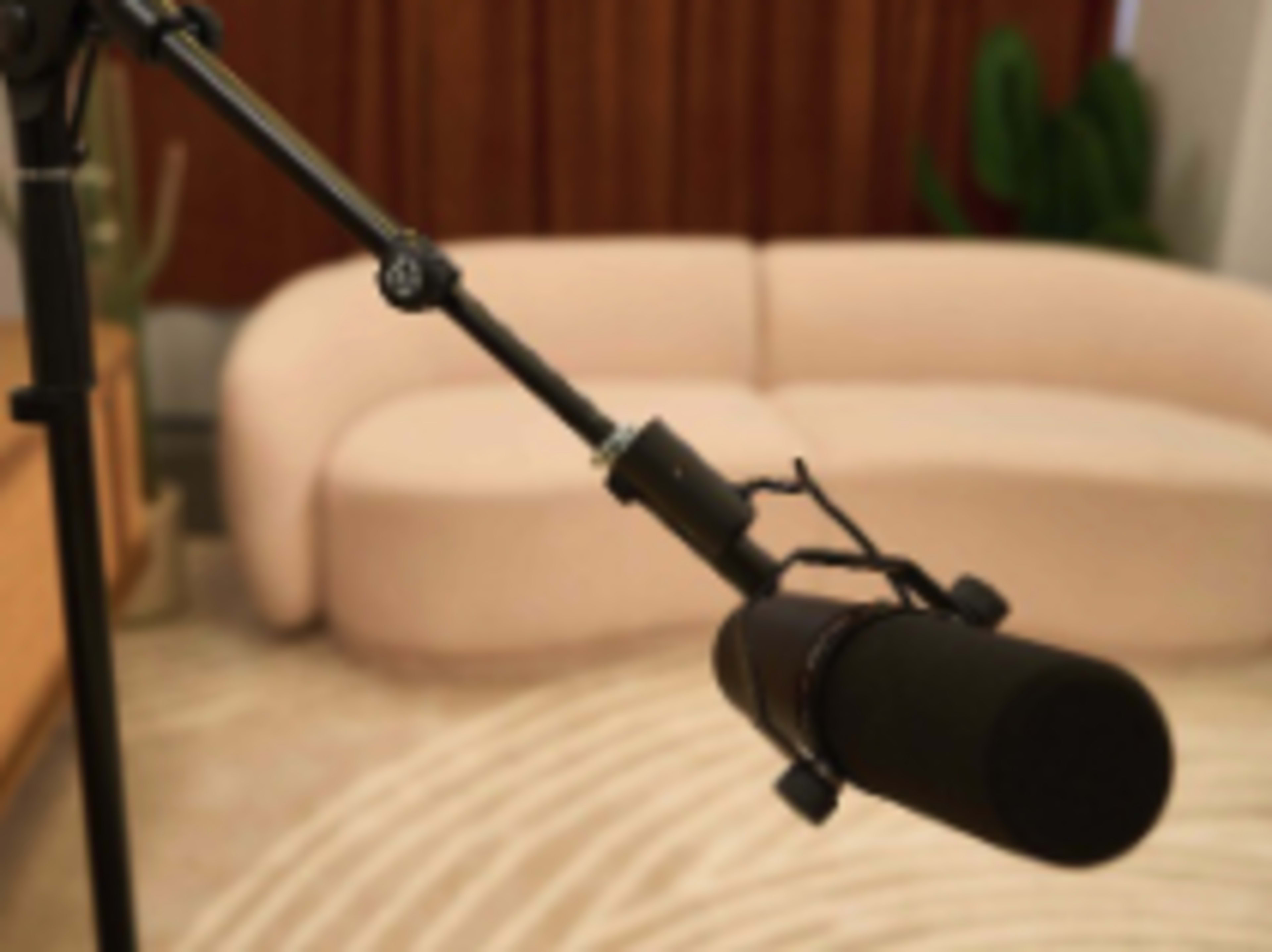 Third Microphone