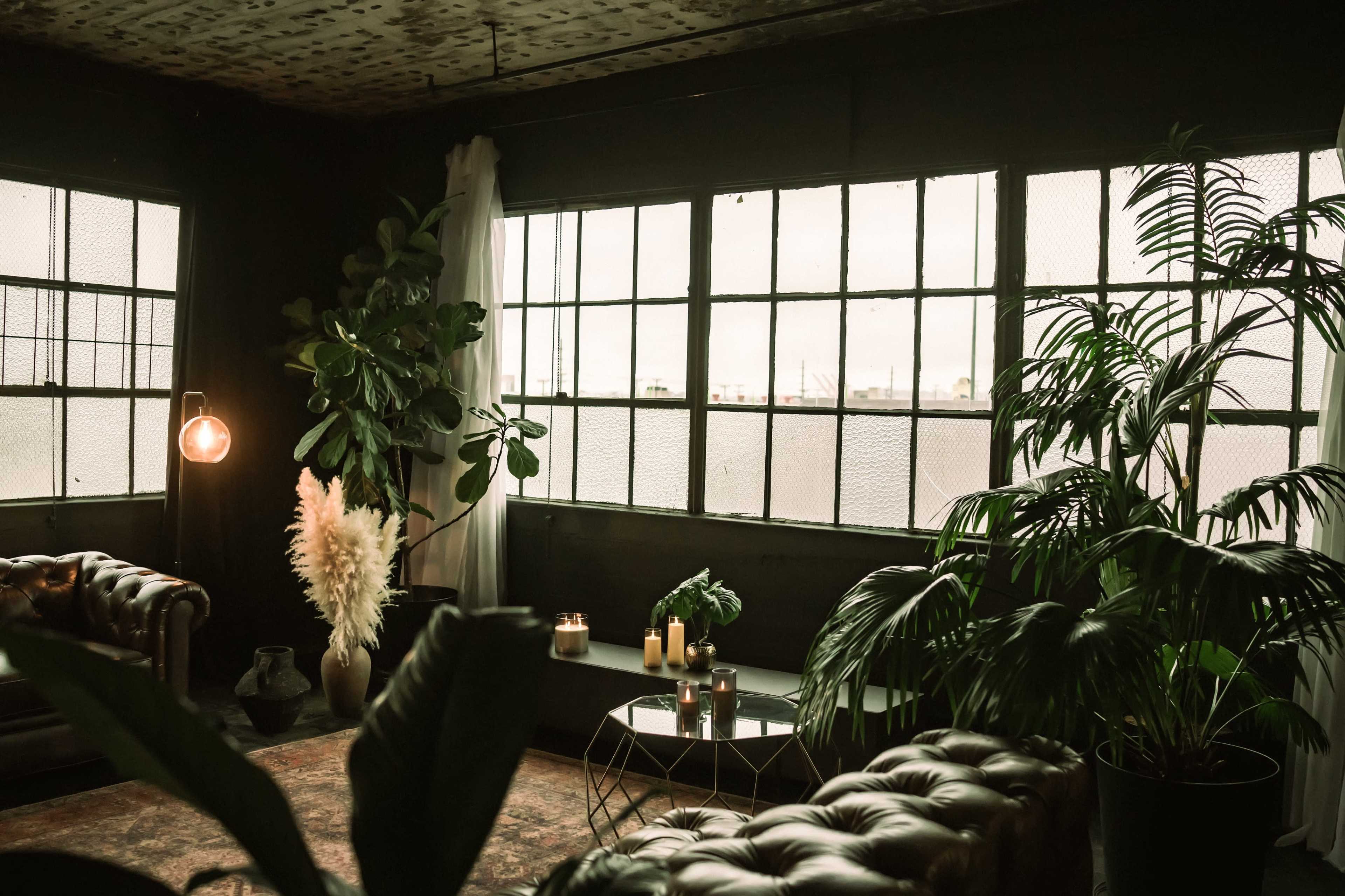 The image shows a stylish interior with large windows, a leather sofa, various plants, and a coffee table adorned with candles.