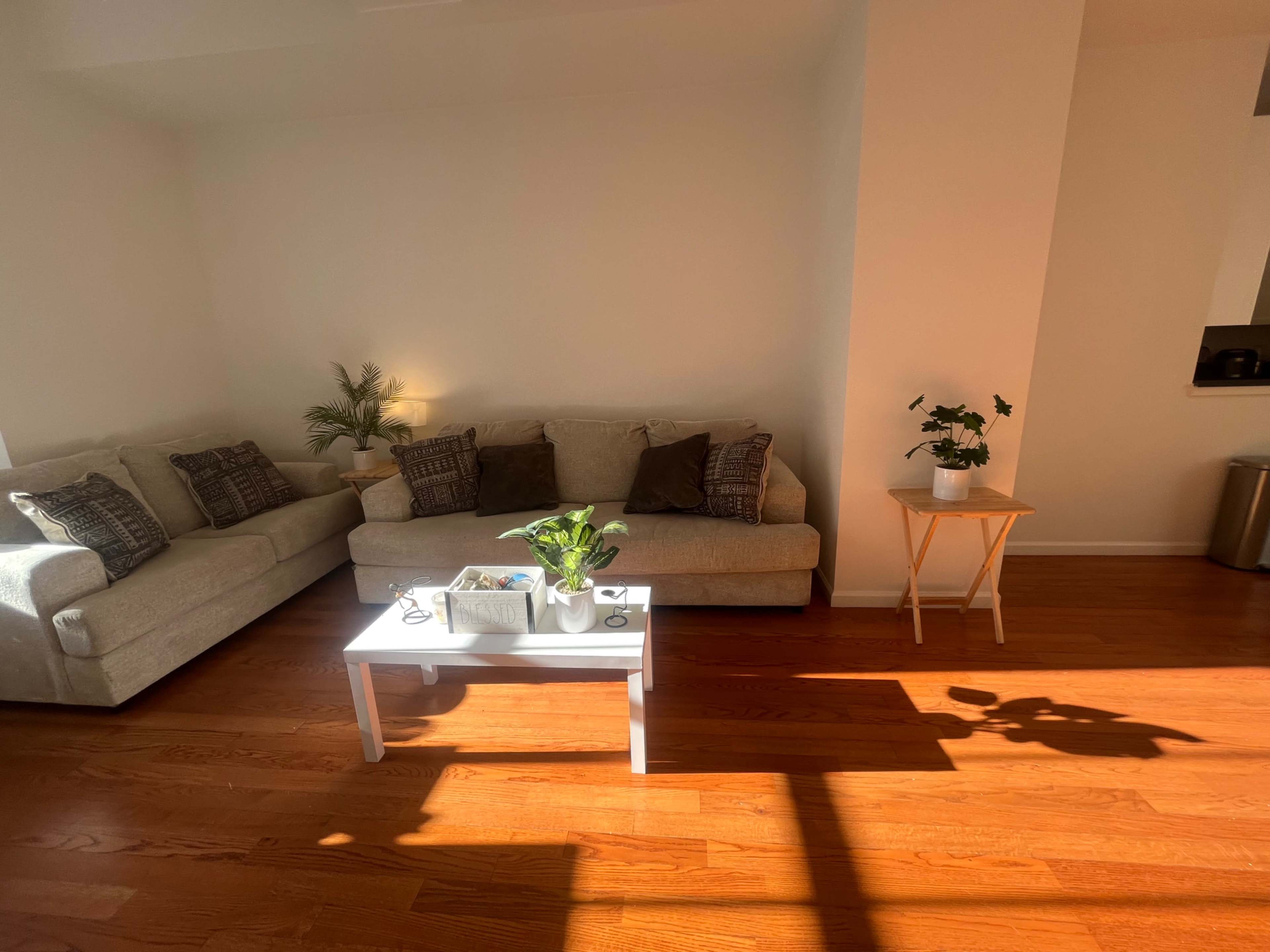 A cozy living room features two light-colored sofas, a small white coffee table, and a few potted plants, with sunlight streaming in from a window.