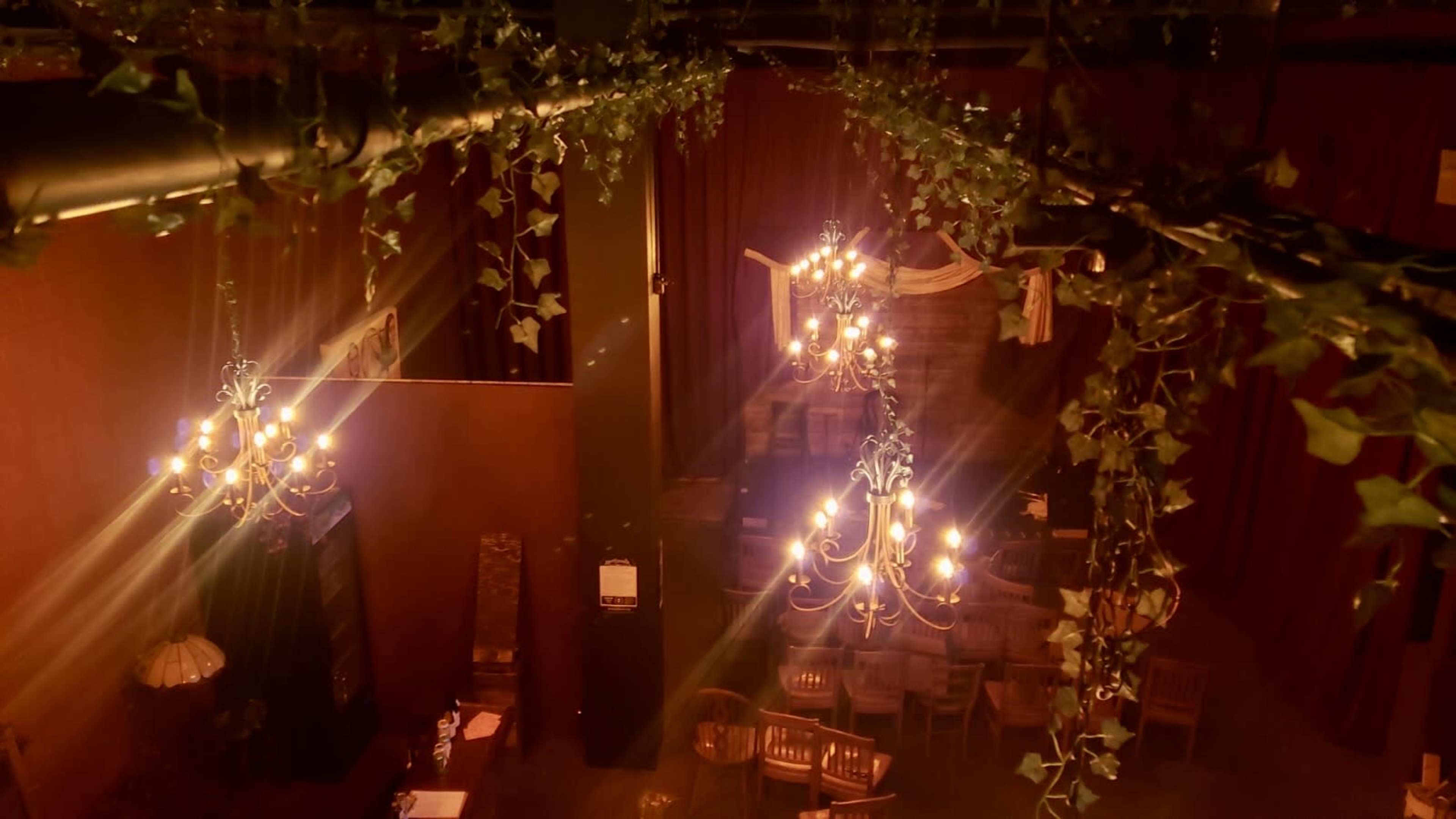 The interior of a dimly lit venue features decorative chandeliers and ivy trailing from the ceiling.
