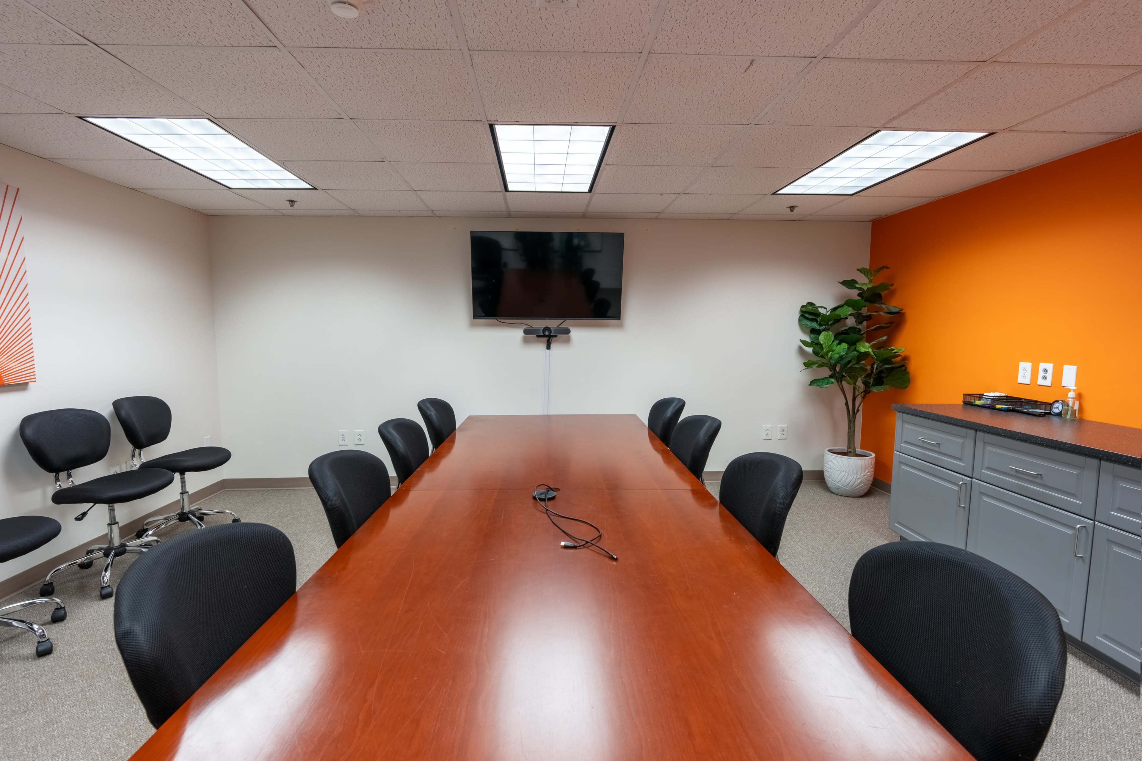 A conference room features a large wooden table surrounded by black chairs, a television mounted on the wall, and a decorative plant in the corner.