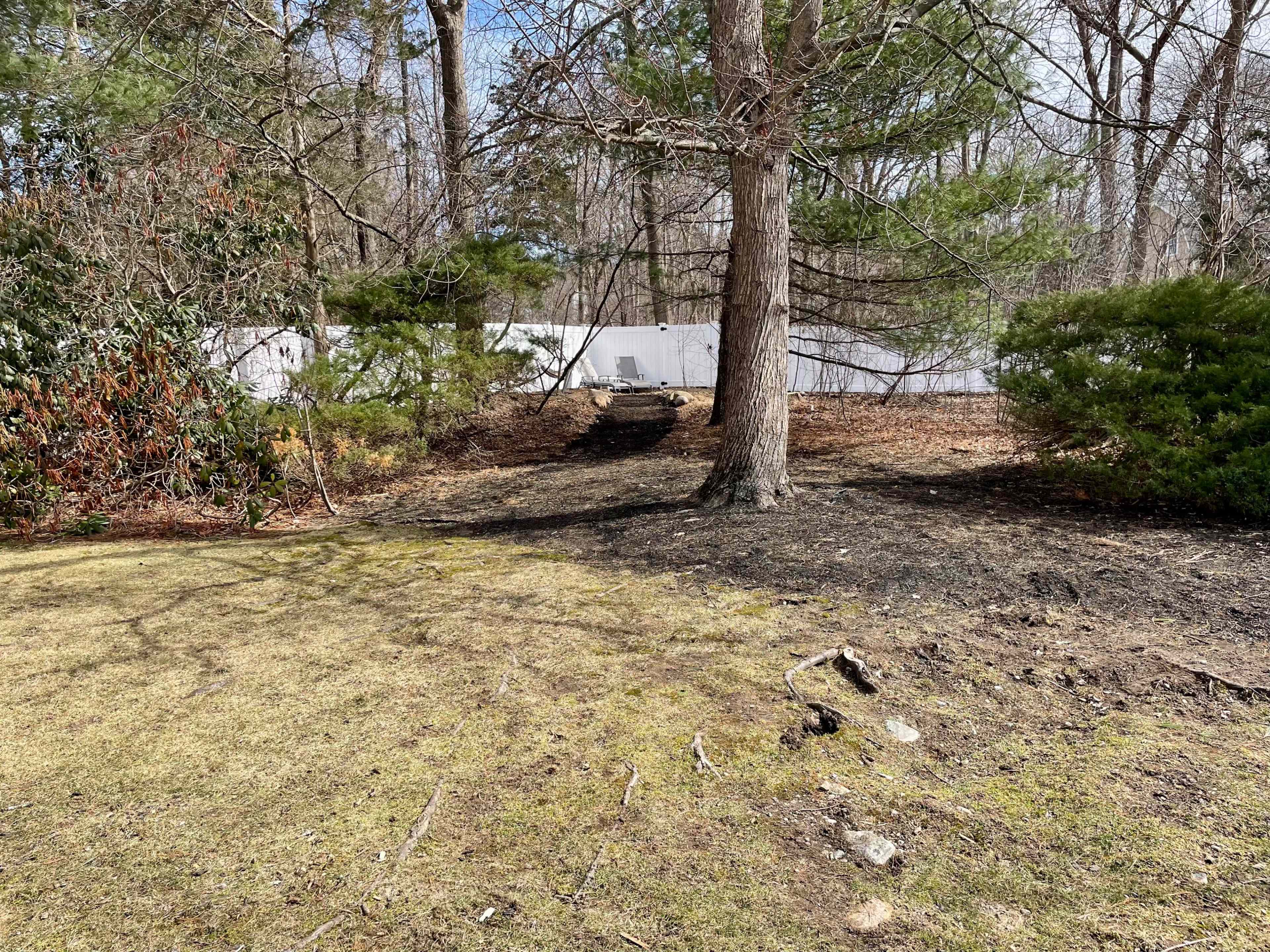 A clearing in a wooded area features a tree in the foreground, with a manicured lawn and a white fence in the background.