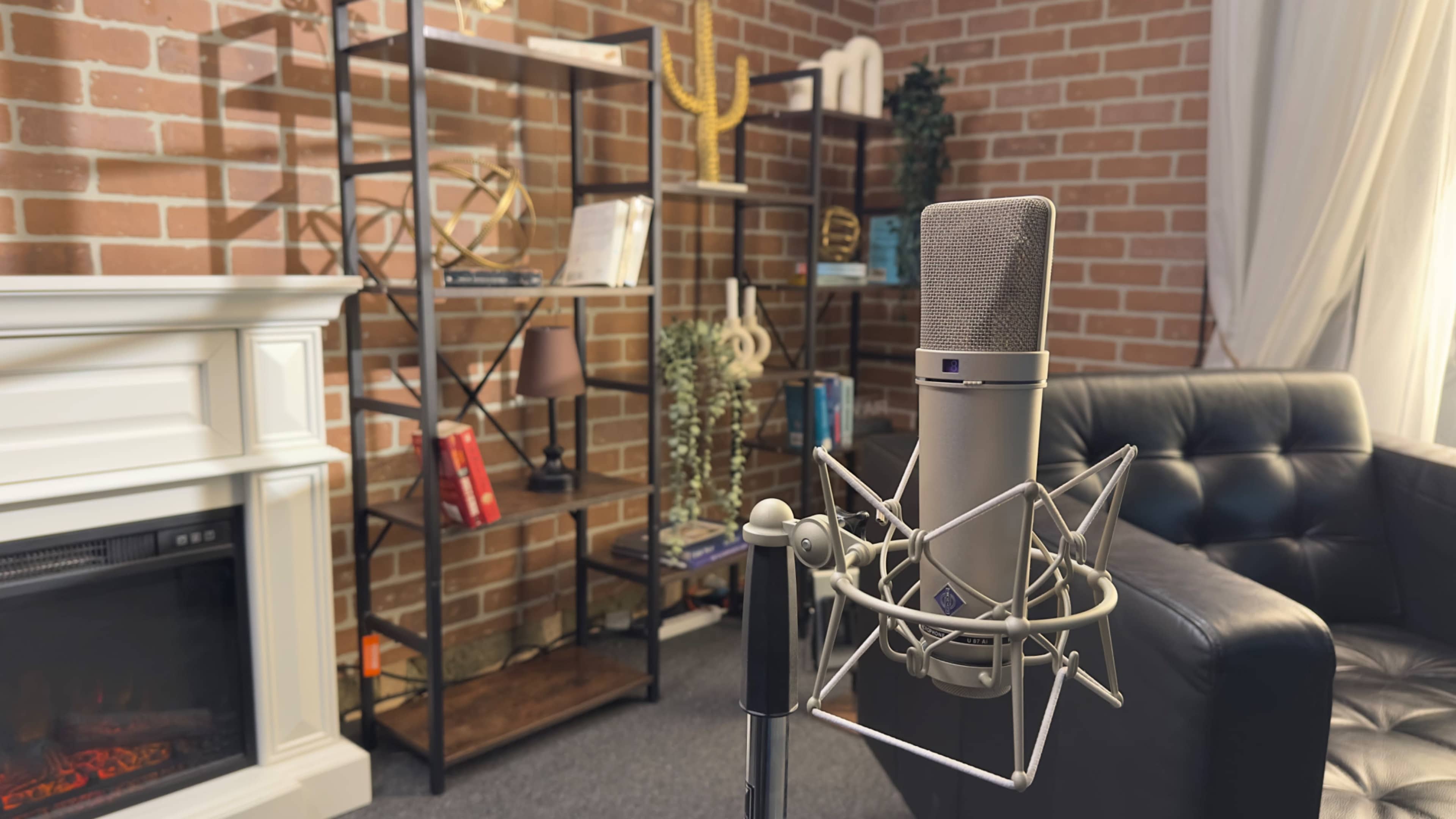 A microphone on a stand is positioned in the foreground, with a modern shelf displaying various decorative items and books in the background.