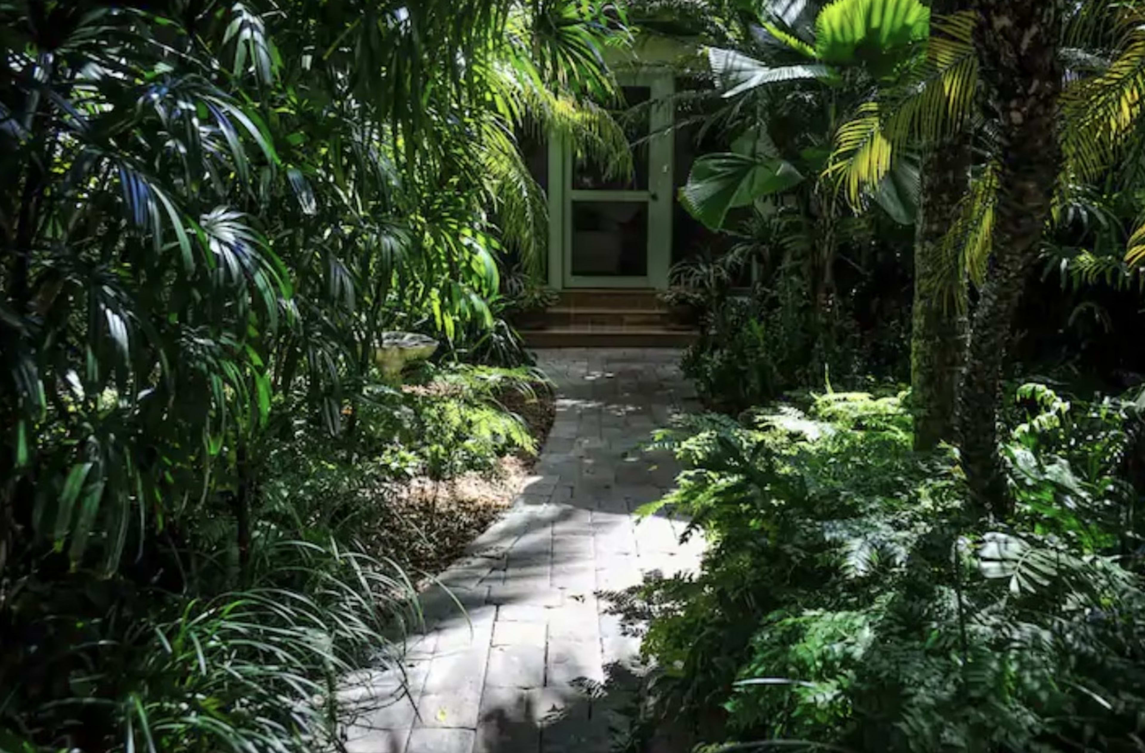 A stone pathway winds through dense greenery leading to a building entrance shaded by tropical plants.