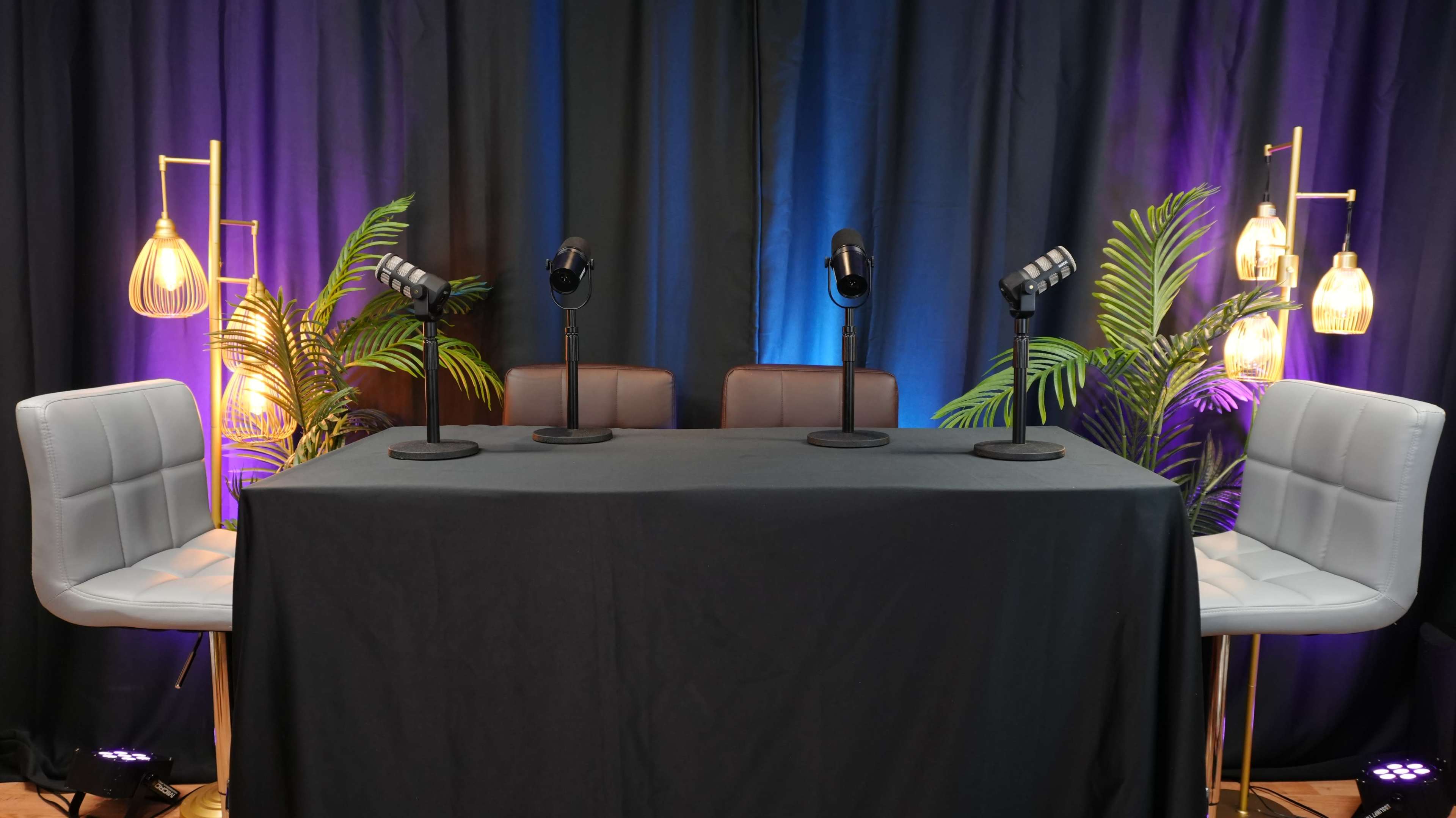 The image shows a table with three microphones positioned on stands, accompanied by two empty chairs, all set against a dark curtain backdrop illuminated by colored lights and accompanied by decorative plants.