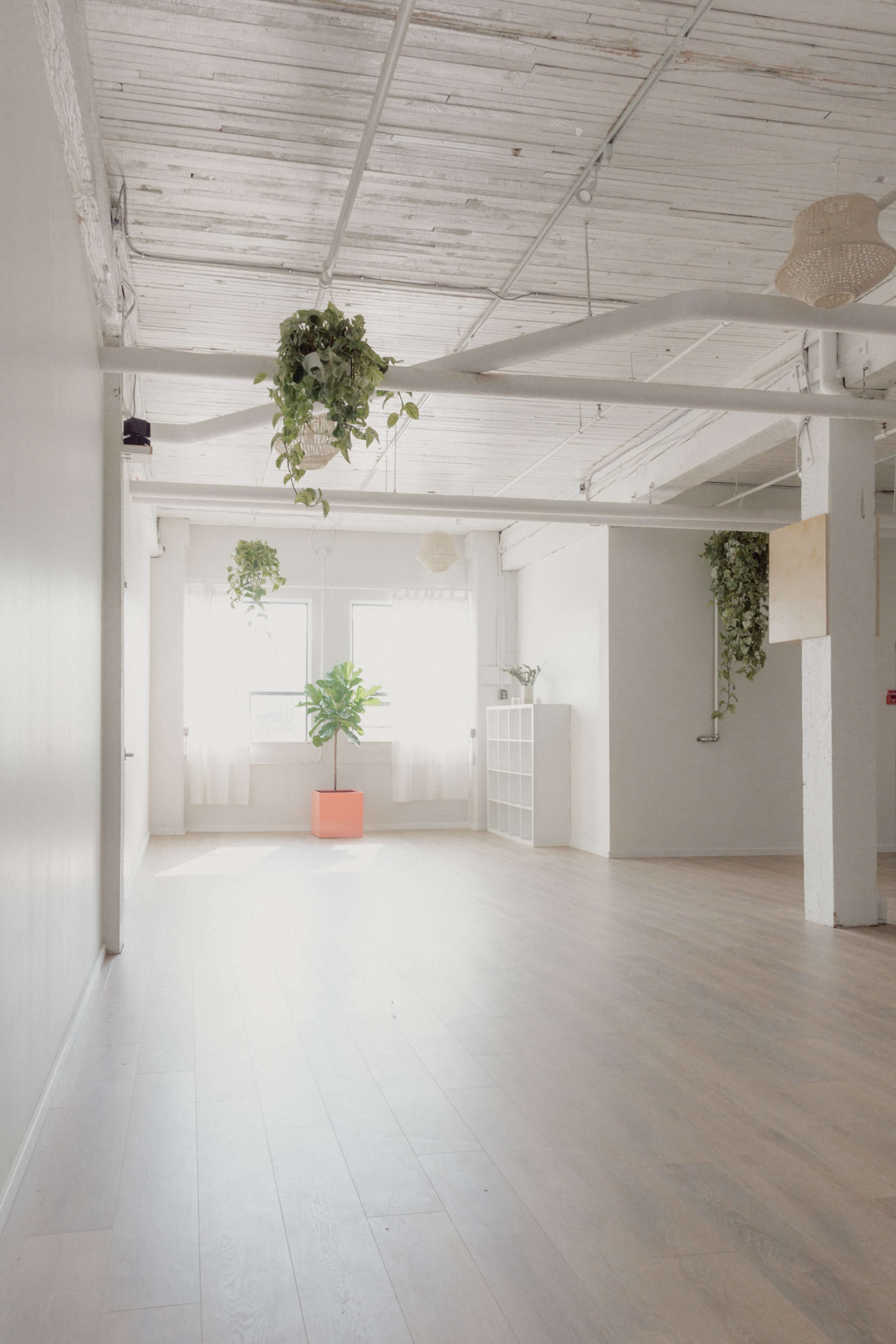 A spacious, sunlit room with wooden flooring, a large plant in an orange pot, and greenery hanging from the ceiling.