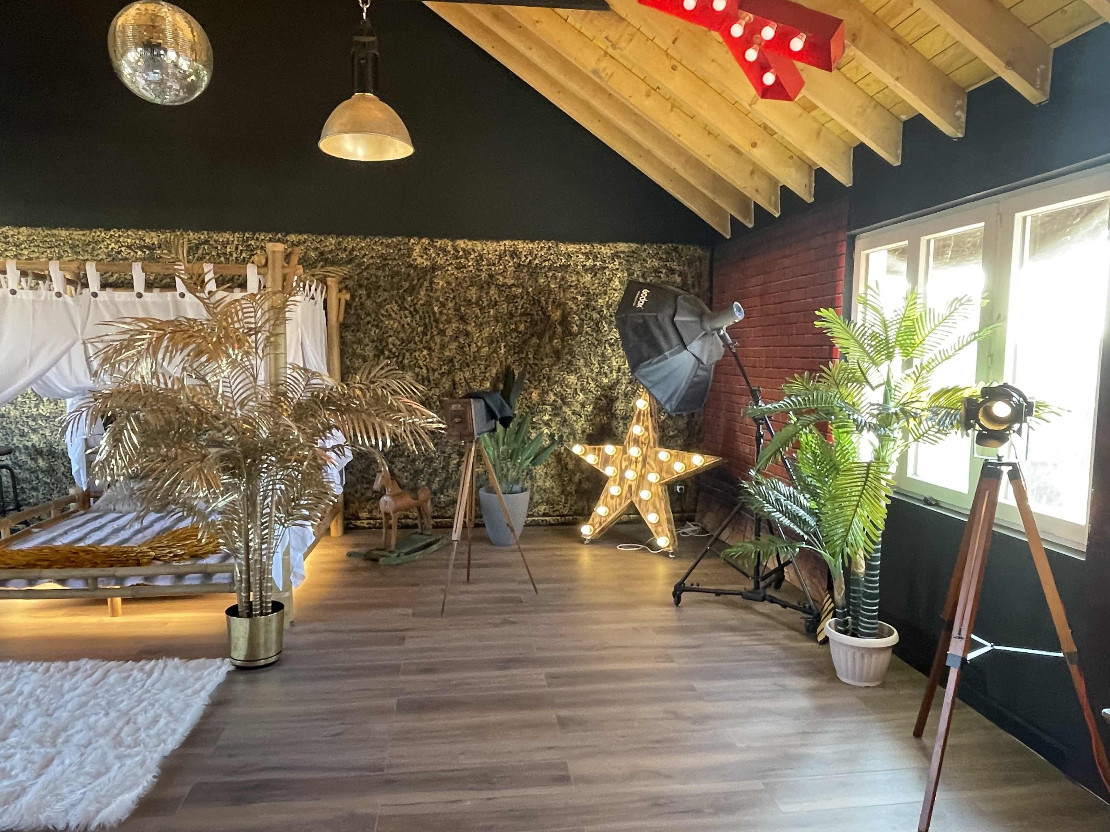 The image shows a decorated interior space with a bed, potted plants, and various lighting equipment under a sloped wooden ceiling.
