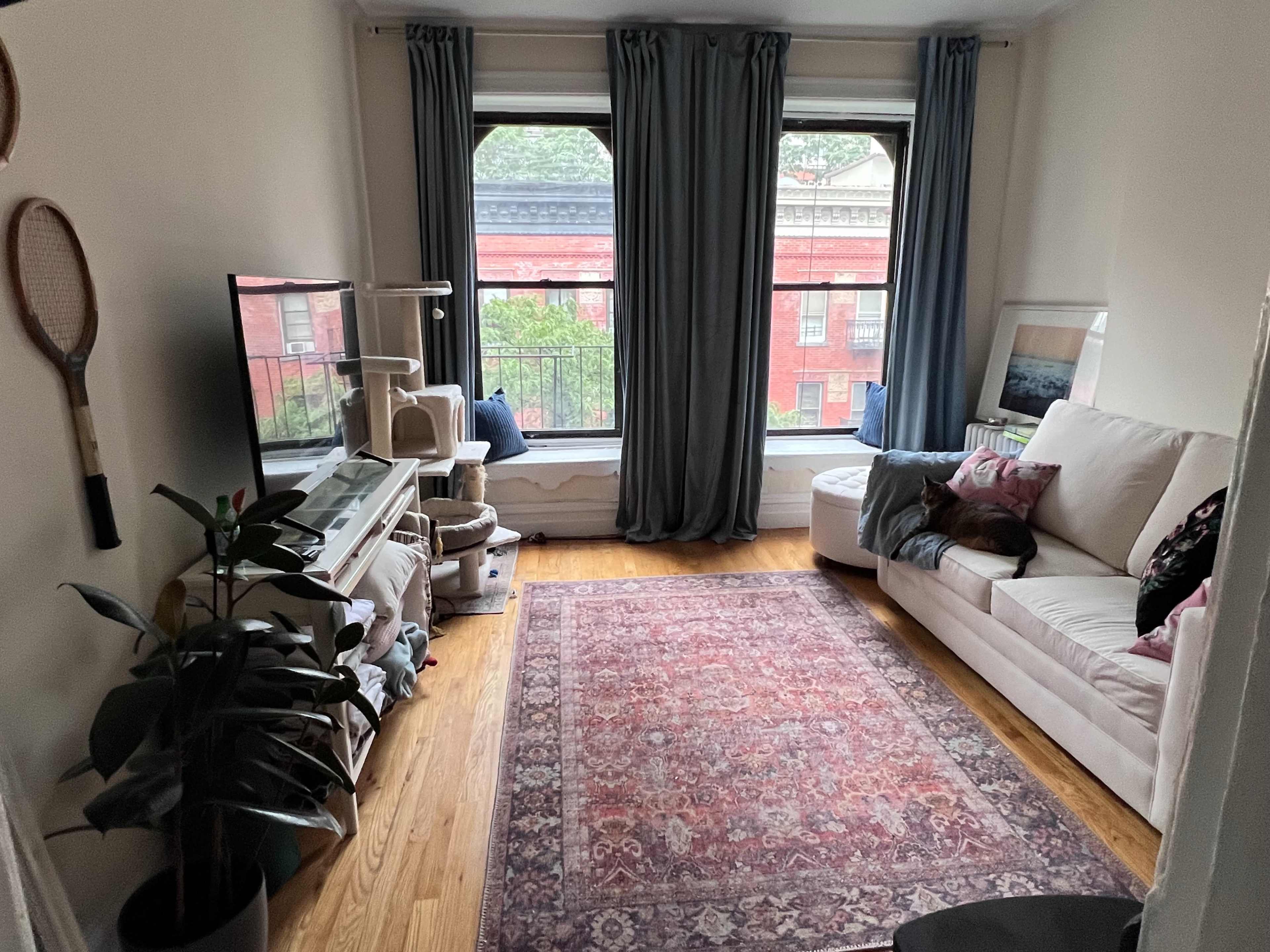 A cozy living room with a white couch, a large window with blue curtains, and a patterned rug on the wooden floor.