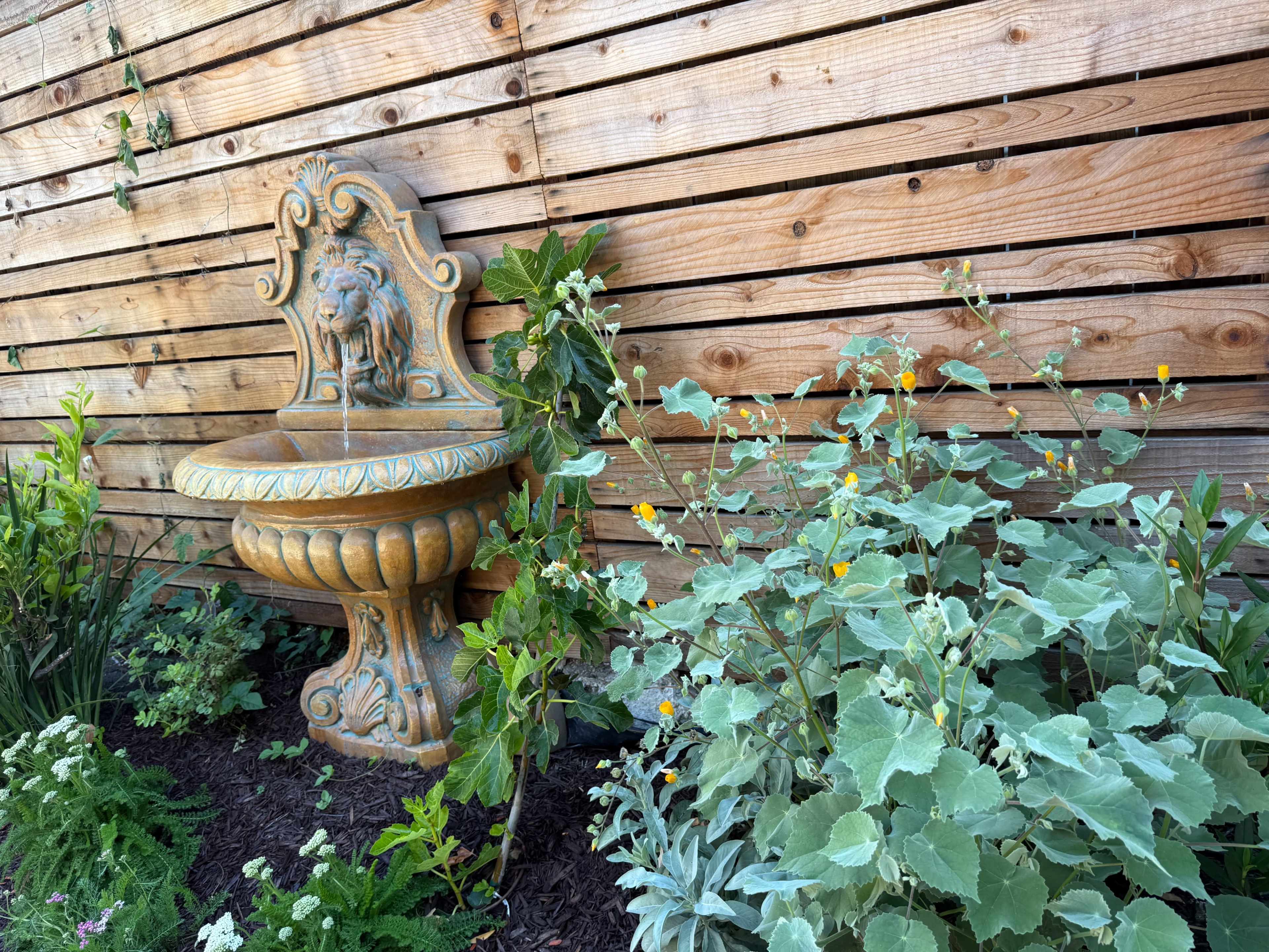 A stone wall fountain with a lion design is set against a wooden fence, surrounded by flowering plants and greenery.