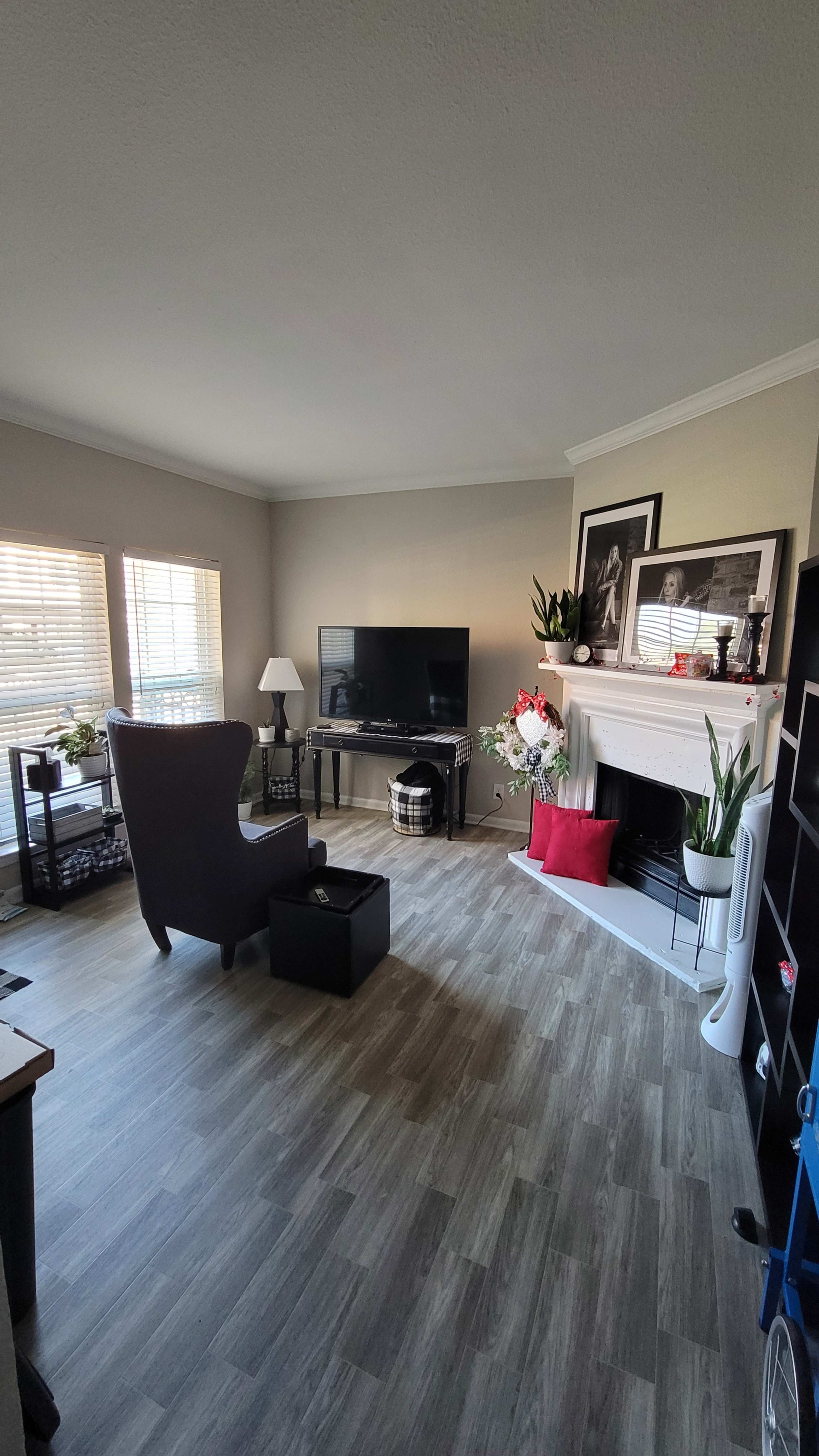 The living room features a television on a stand, a large armchair, and a fireplace, complemented by decorative plants and a few pieces of furniture.