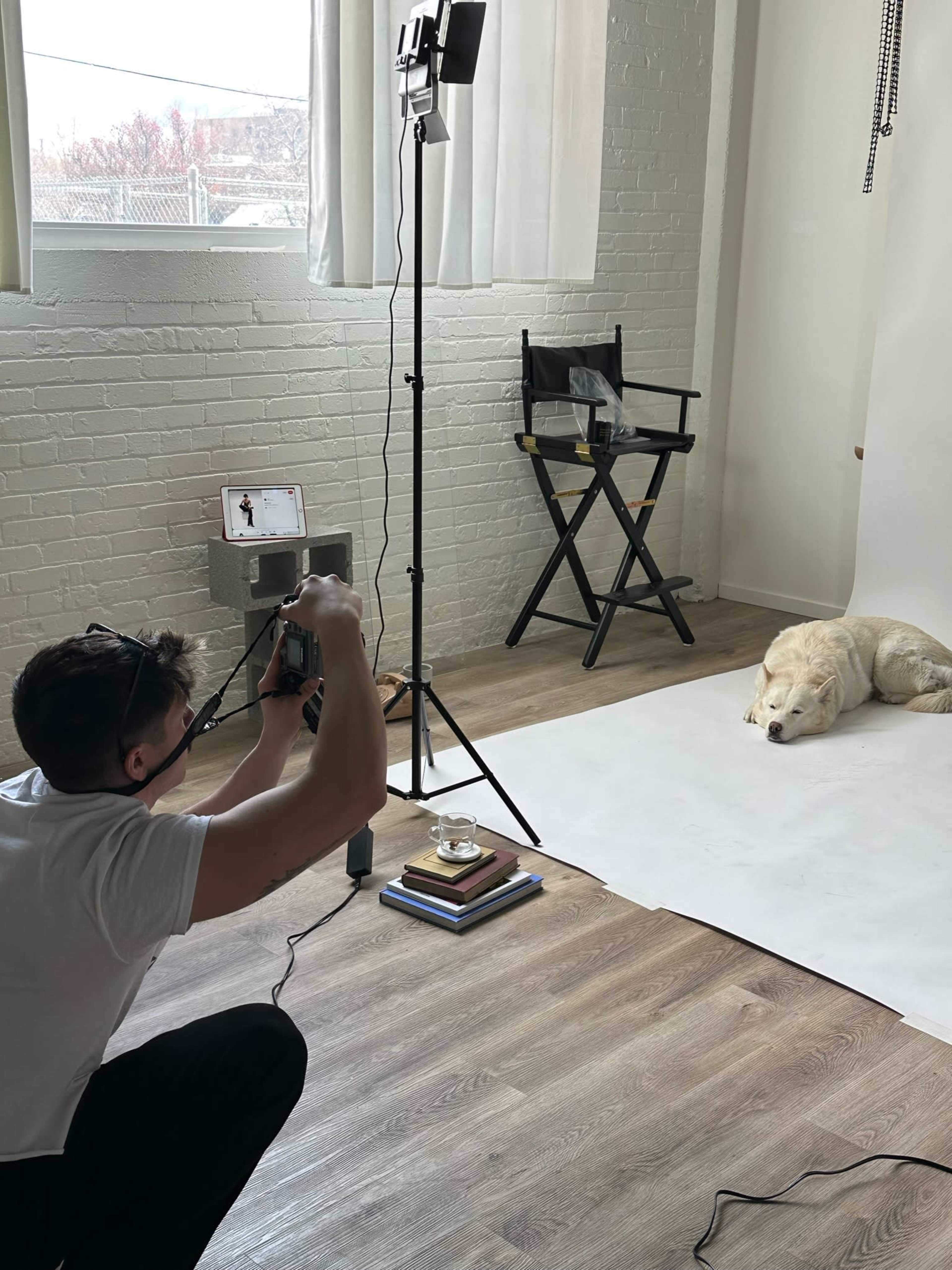 A photographer is taking pictures of a dog lying on a white backdrop in a studio setting.