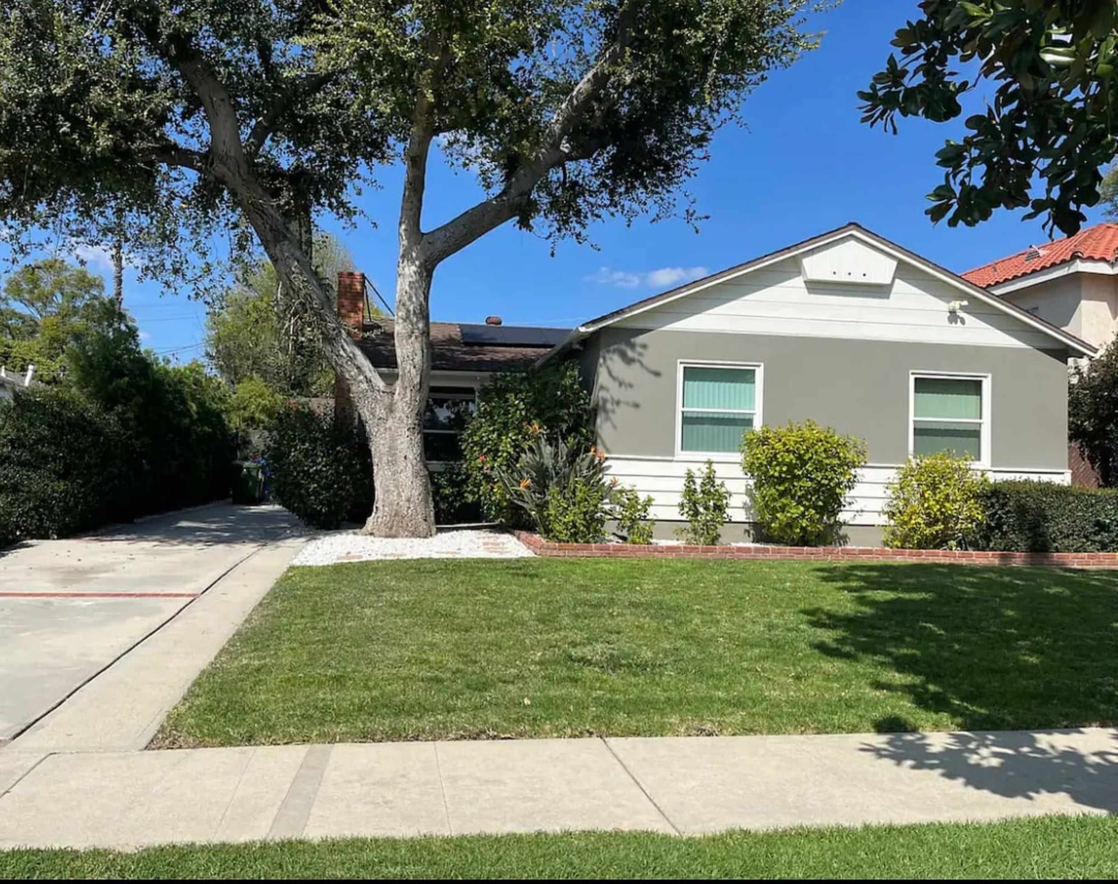 The image shows a gray house with white trim and a large tree in the front yard, surrounded by low shrubs and a concrete walkway.