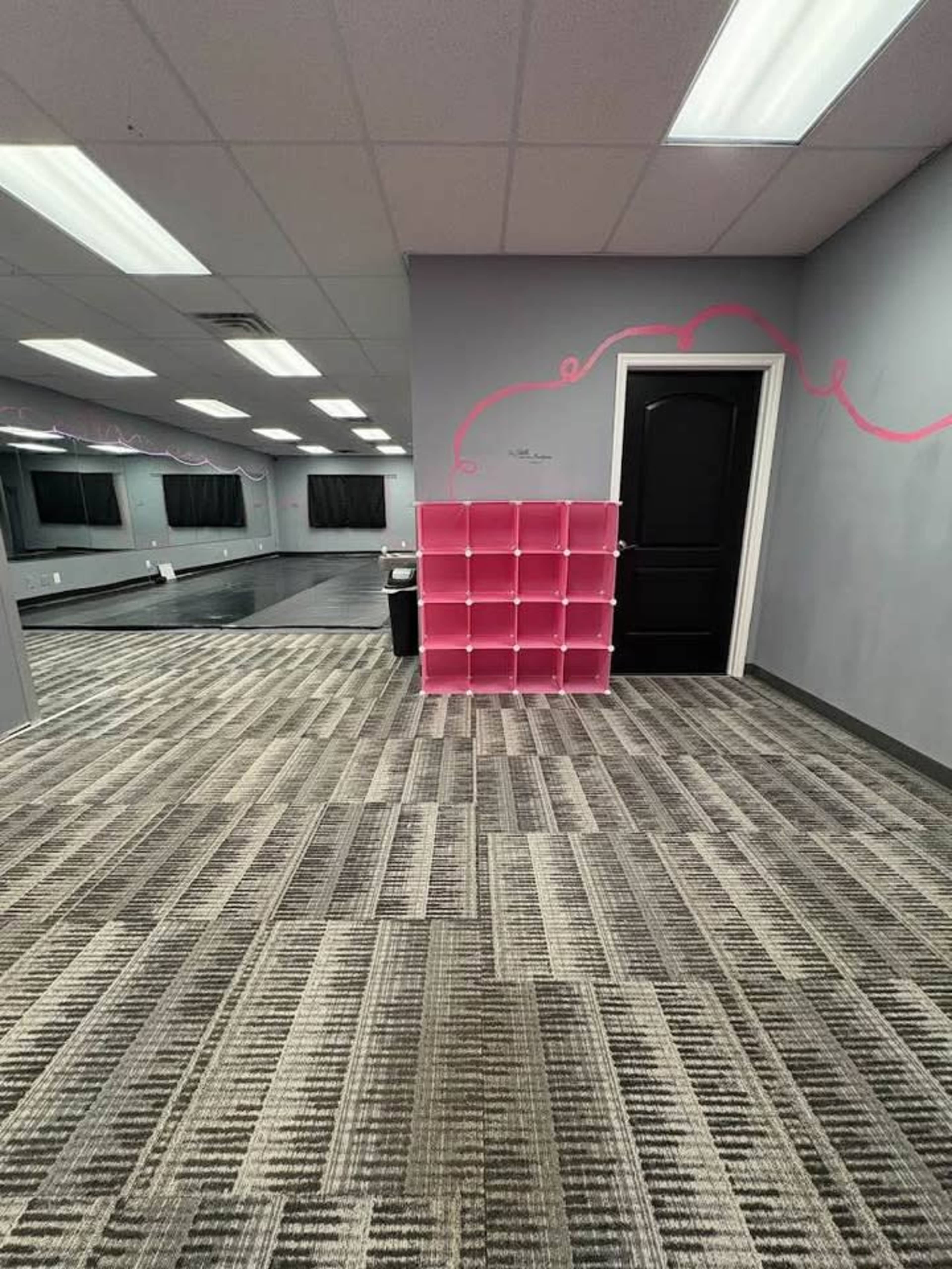The image shows a spacious room with a patterned carpet, a large mirrored wall, and a pink cubby storage unit near a black door.