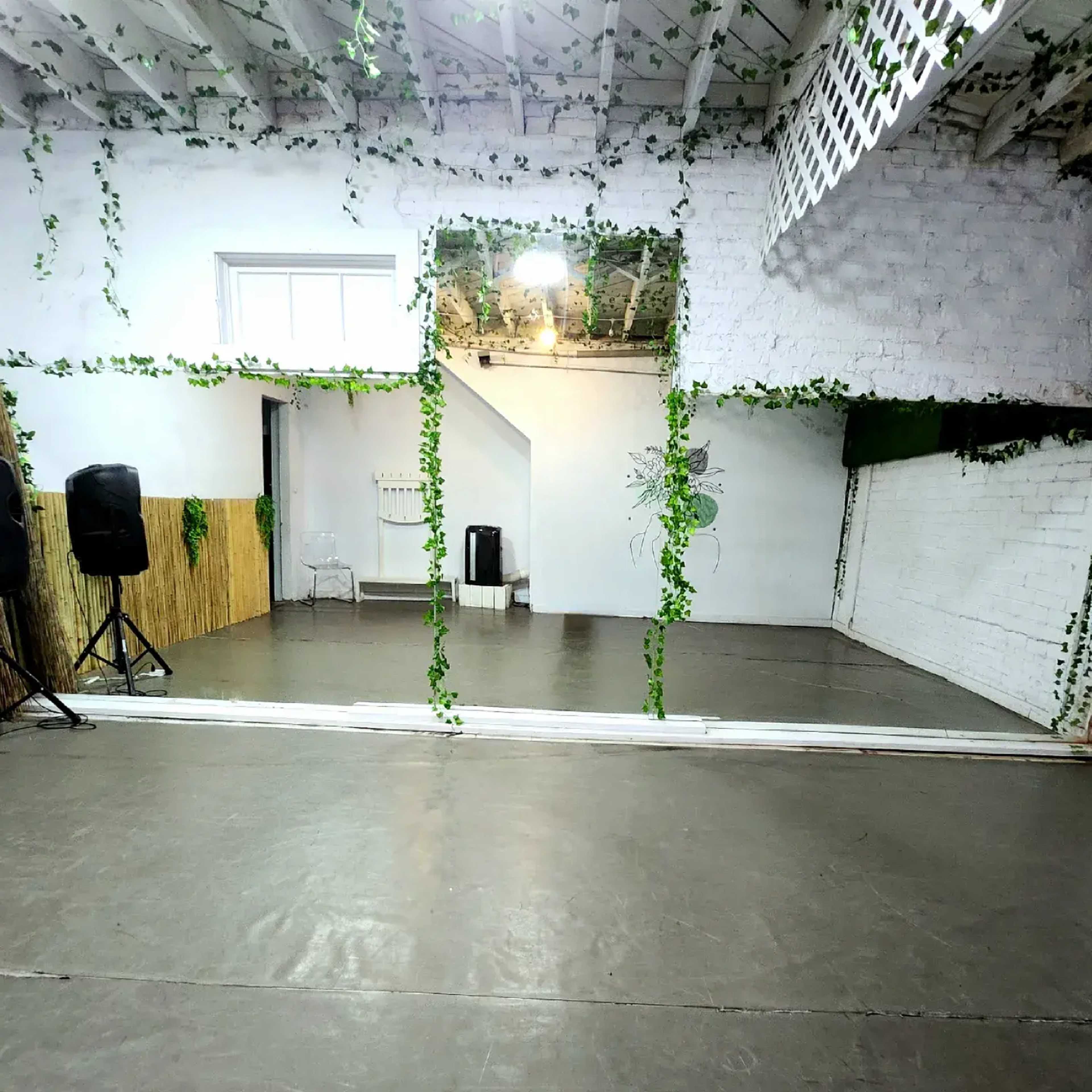 An empty dance studio featuring mirrored walls and greenery along the edges of the space.
