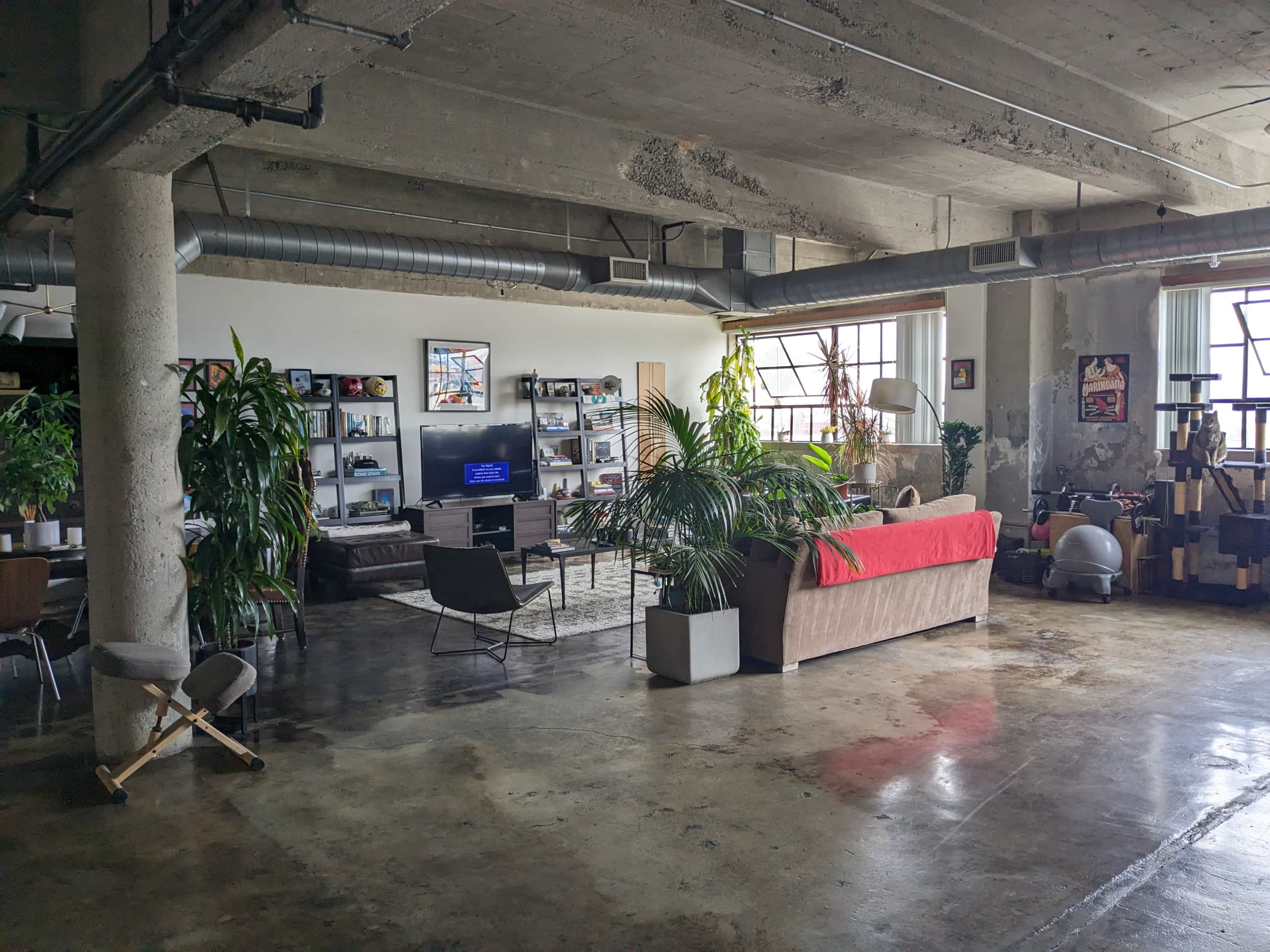 A spacious industrial-style living area with concrete ceilings, a large sofa, various plants, a television, and wooden shelving.