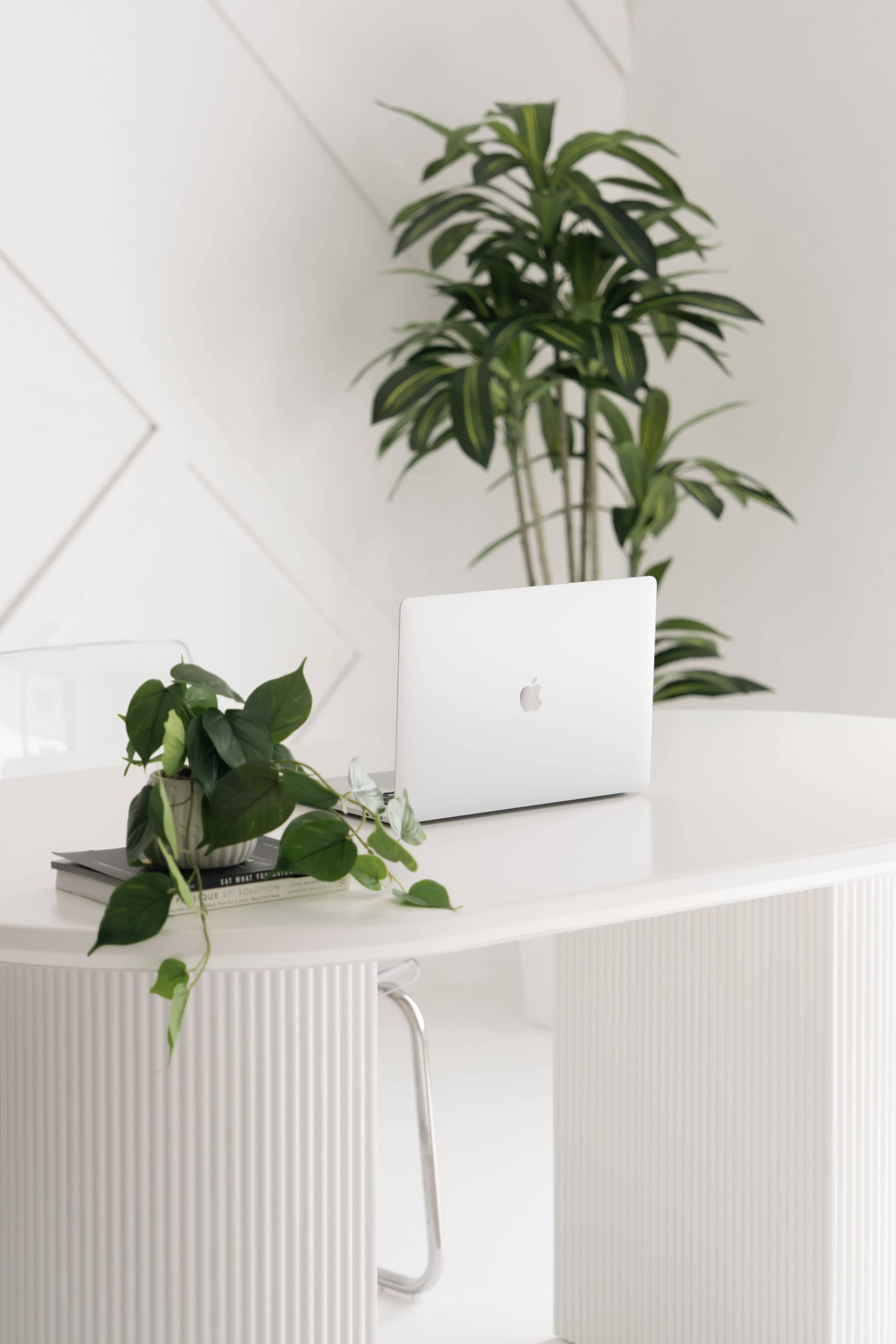 A minimalist workspace features a laptop on a white desk accompanied by a potted plant.
