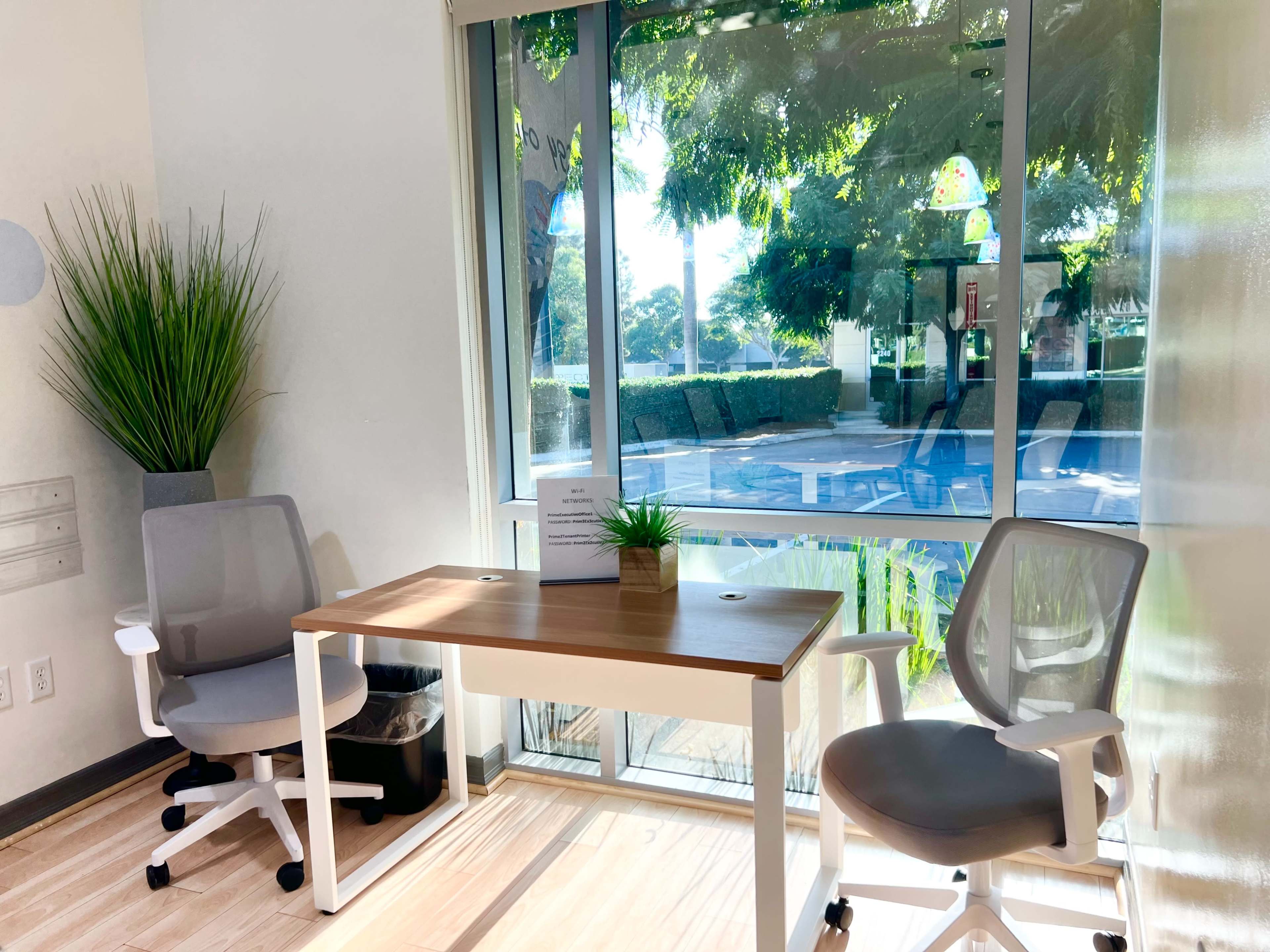 The image shows a bright office space featuring a small wooden desk with two white ergonomic chairs and a potted plant, positioned next to a large window that lets in natural light.
