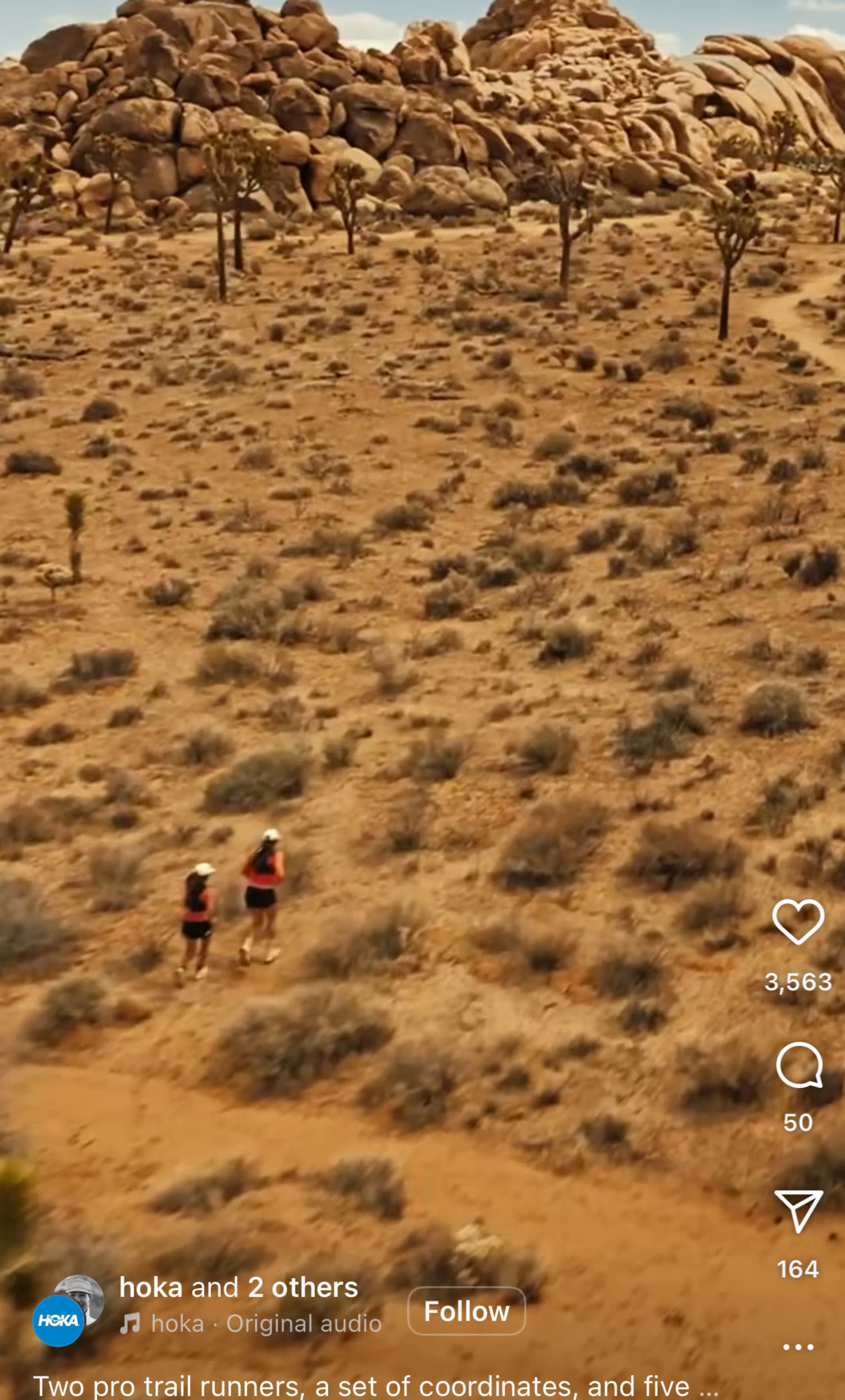 Two trail runners navigate a desolate, rocky landscape dotted with sparse vegetation.