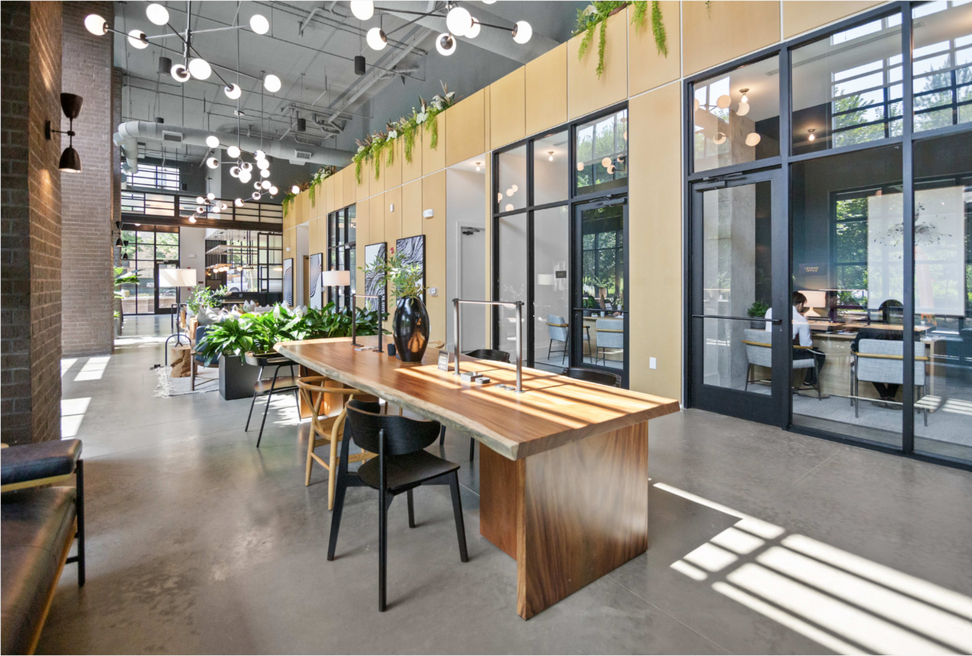 The image shows a modern office space featuring a large wooden table in the foreground, surrounded by chairs, with large windows letting in natural light and plants along the walls.