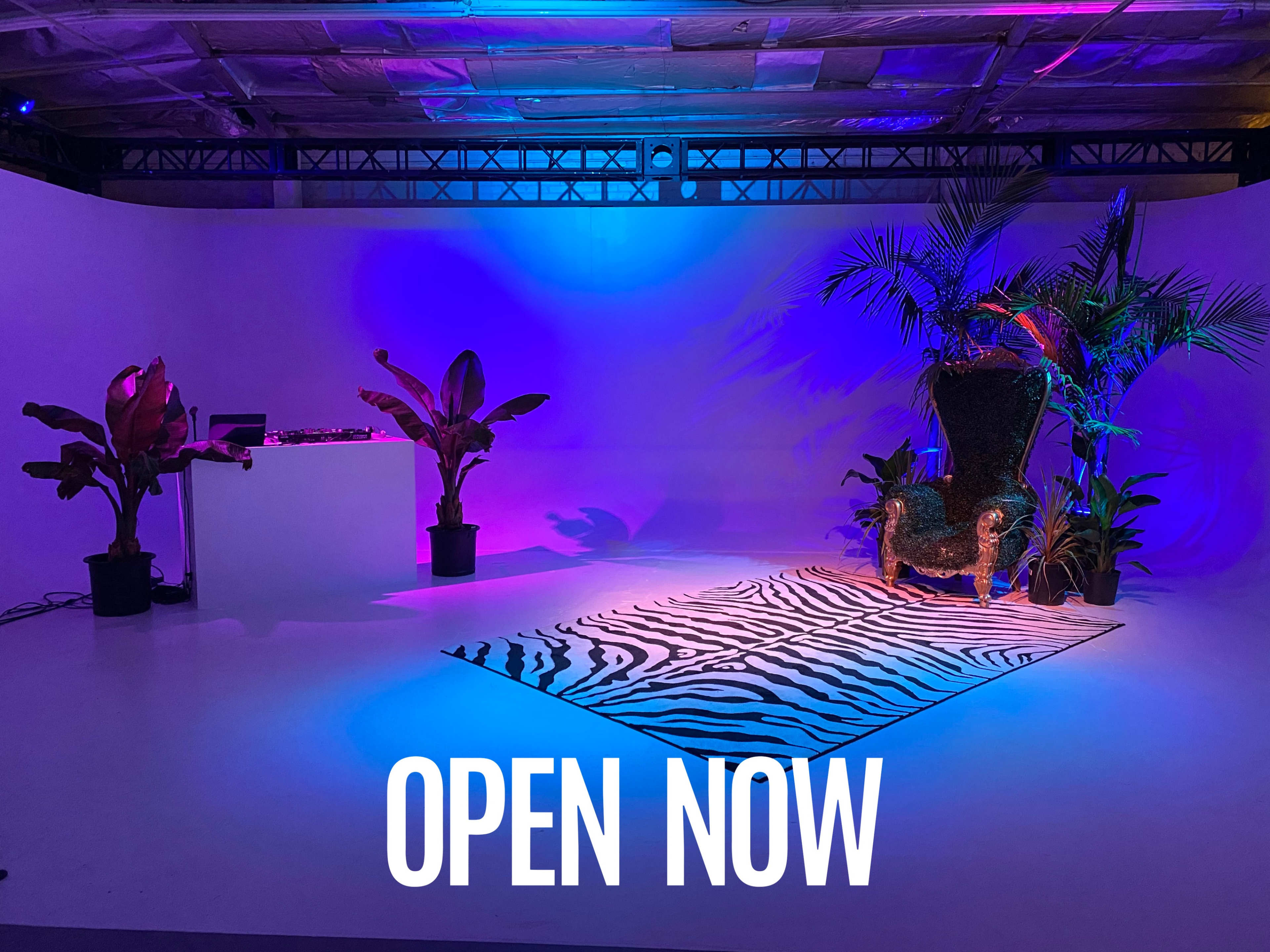 A brightly lit event space featuring a zebra-striped rug, a large decorative chair, tropical plants, and a DJ setup.