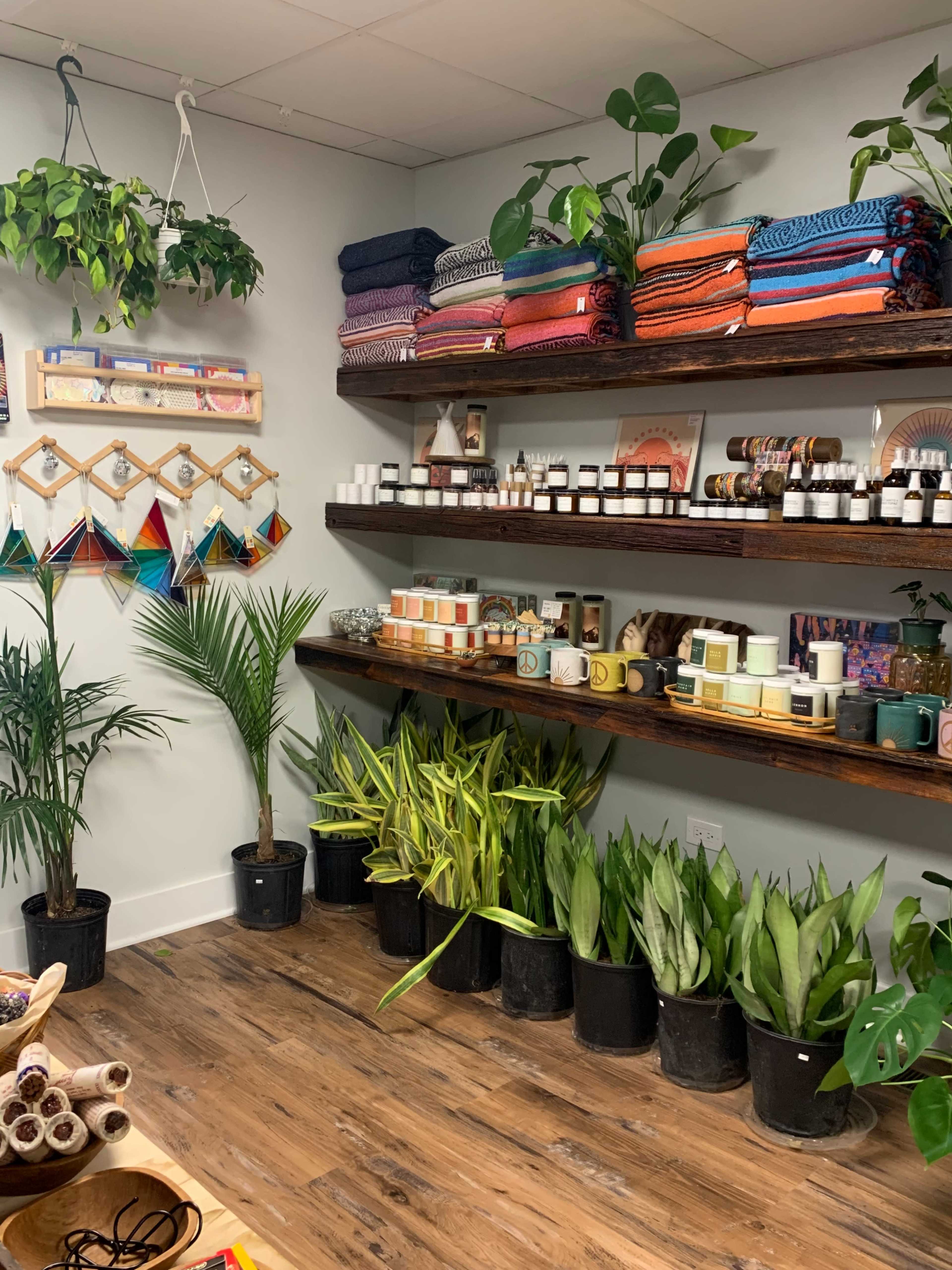 The image shows a retail space featuring shelves lined with colorful blankets, candles, and various plants arranged in pots along the floor.