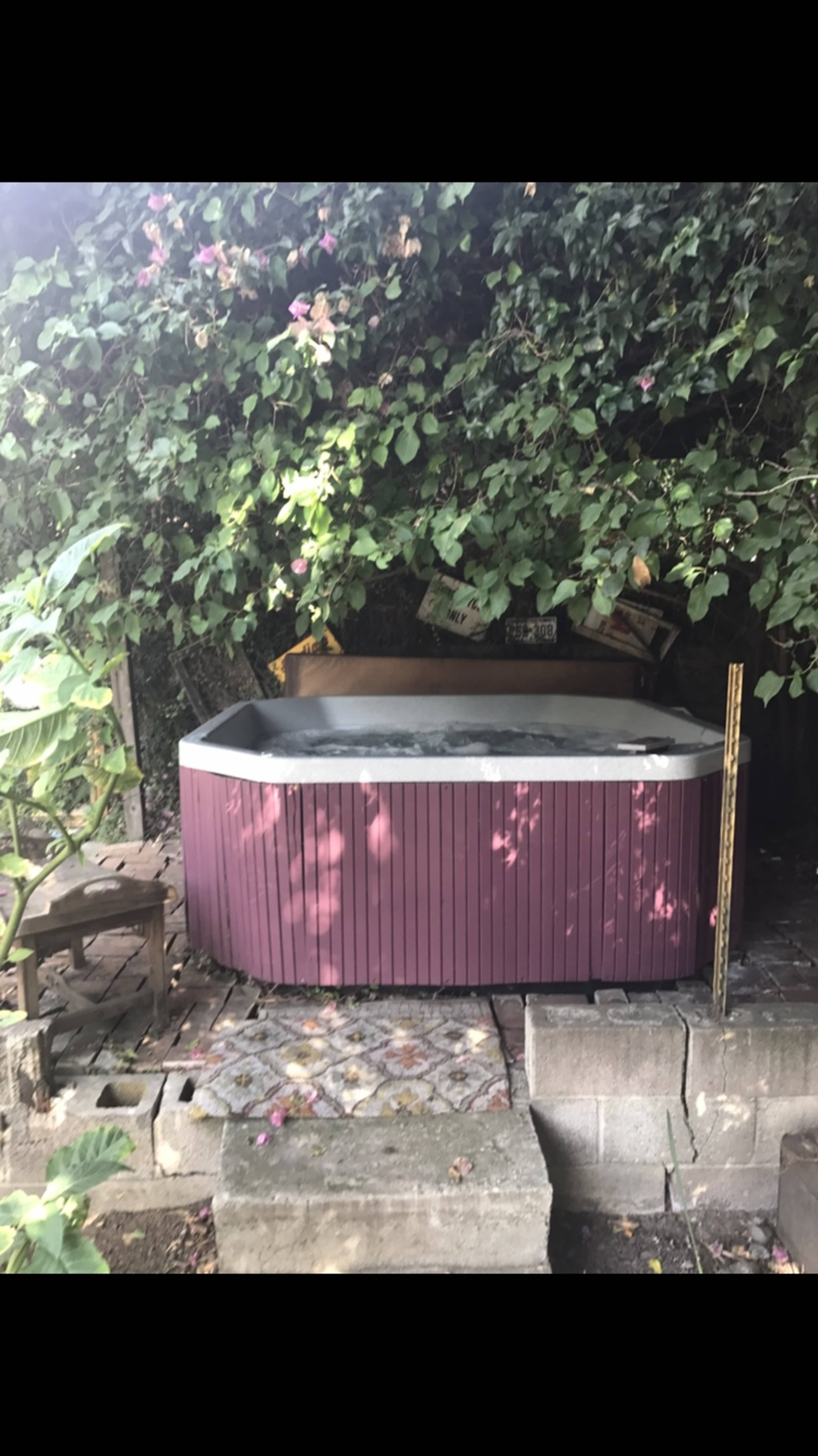 A hot tub is positioned among lush greenery and foliage in a shaded outdoor area.