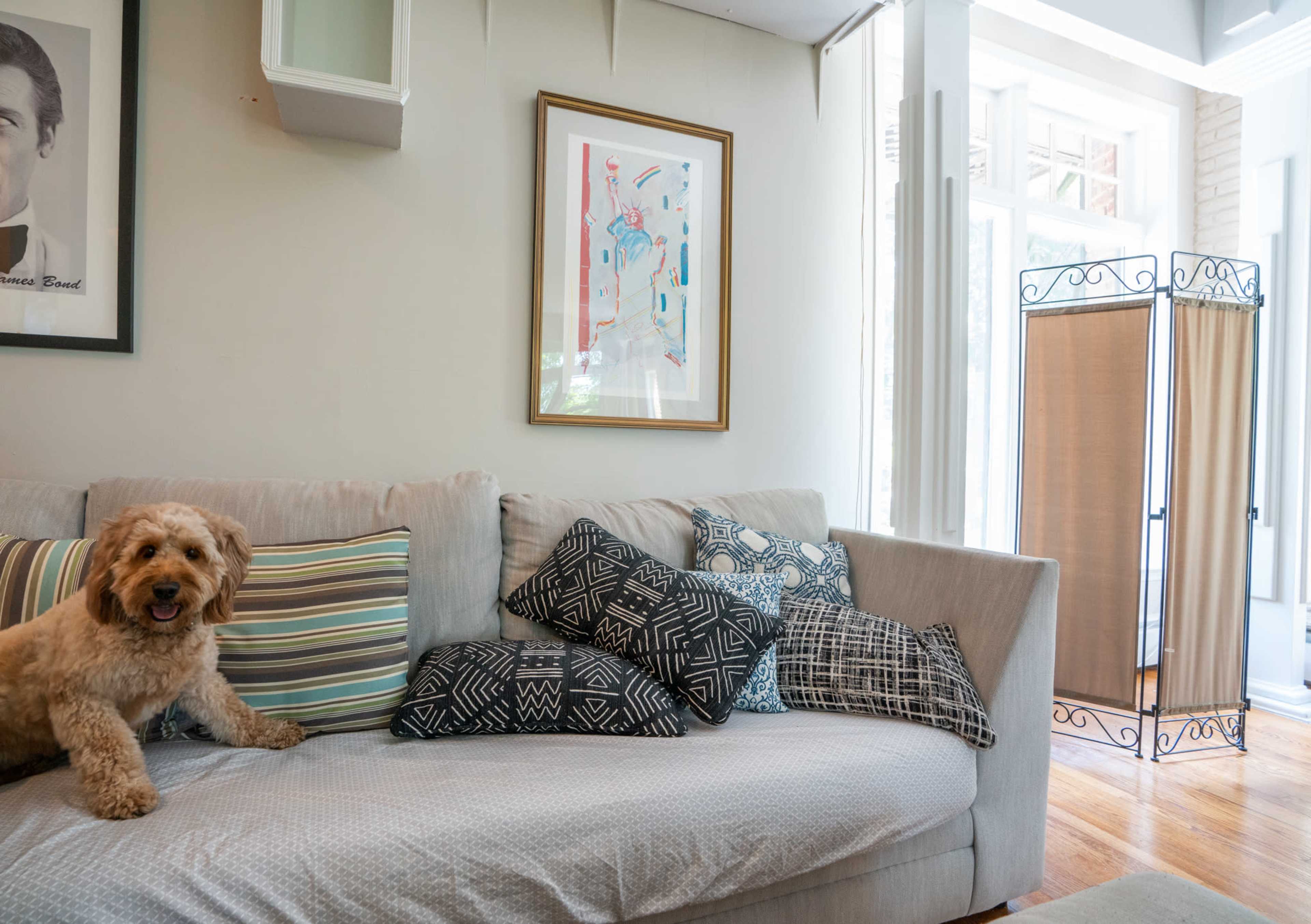 A dog sits on a gray couch adorned with patterned pillows in a well-lit living room featuring a framed artwork and a privacy screen.