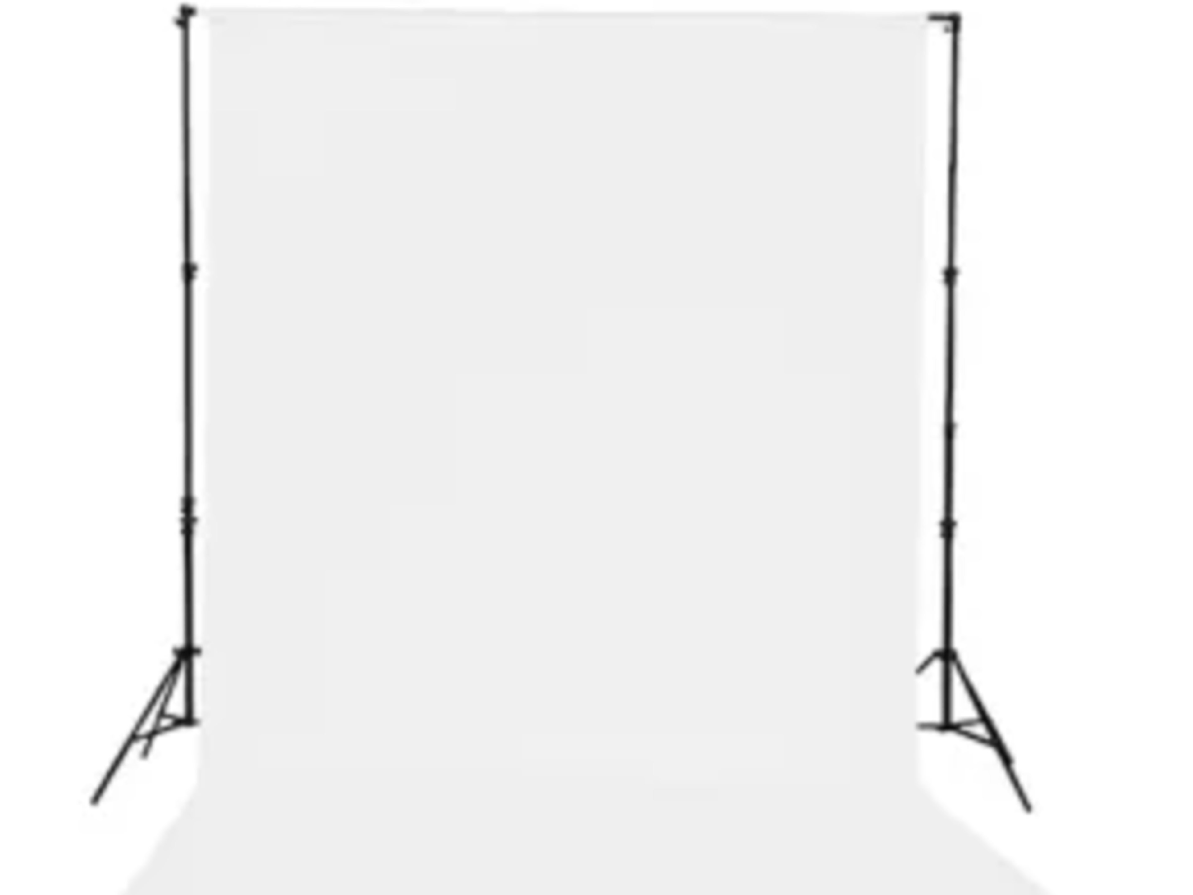 White Seamless backdrop