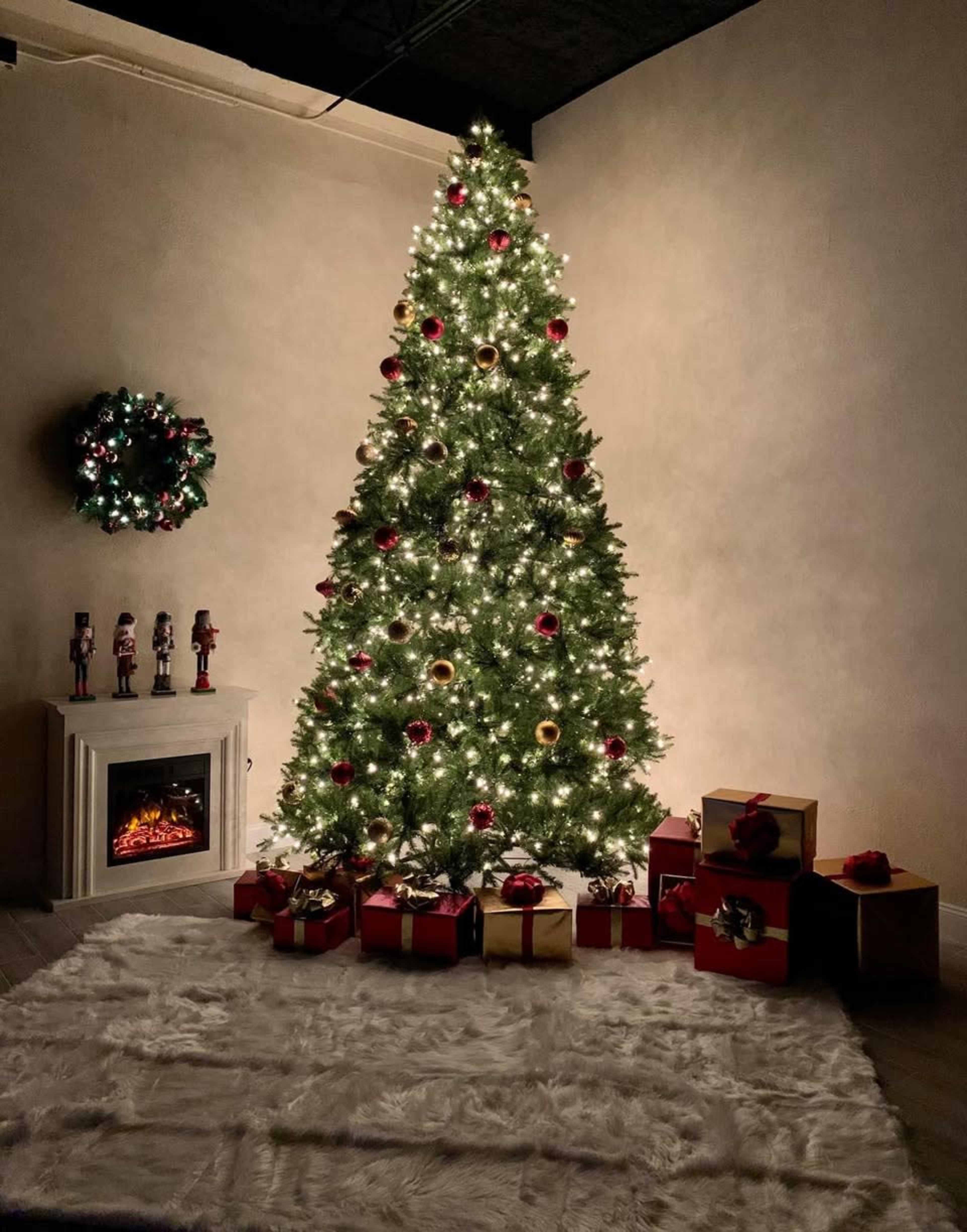 Spacious Studio Offering Both Natural Light and Flash Options Image in Largo, Clearwater, CA