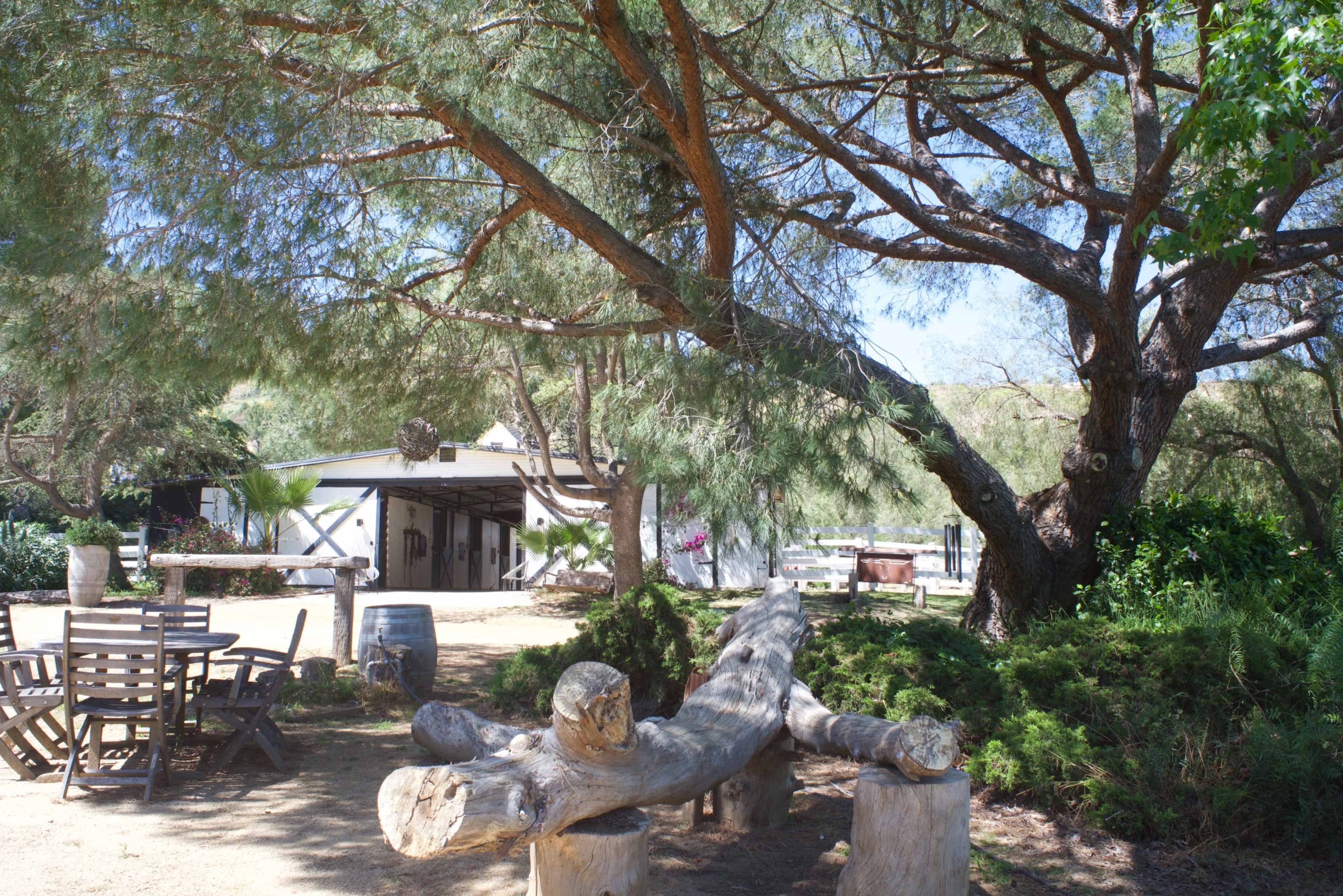 A wooden log bench sits under a large tree, with a table and chairs nearby in a shaded outdoor area next to a barn.